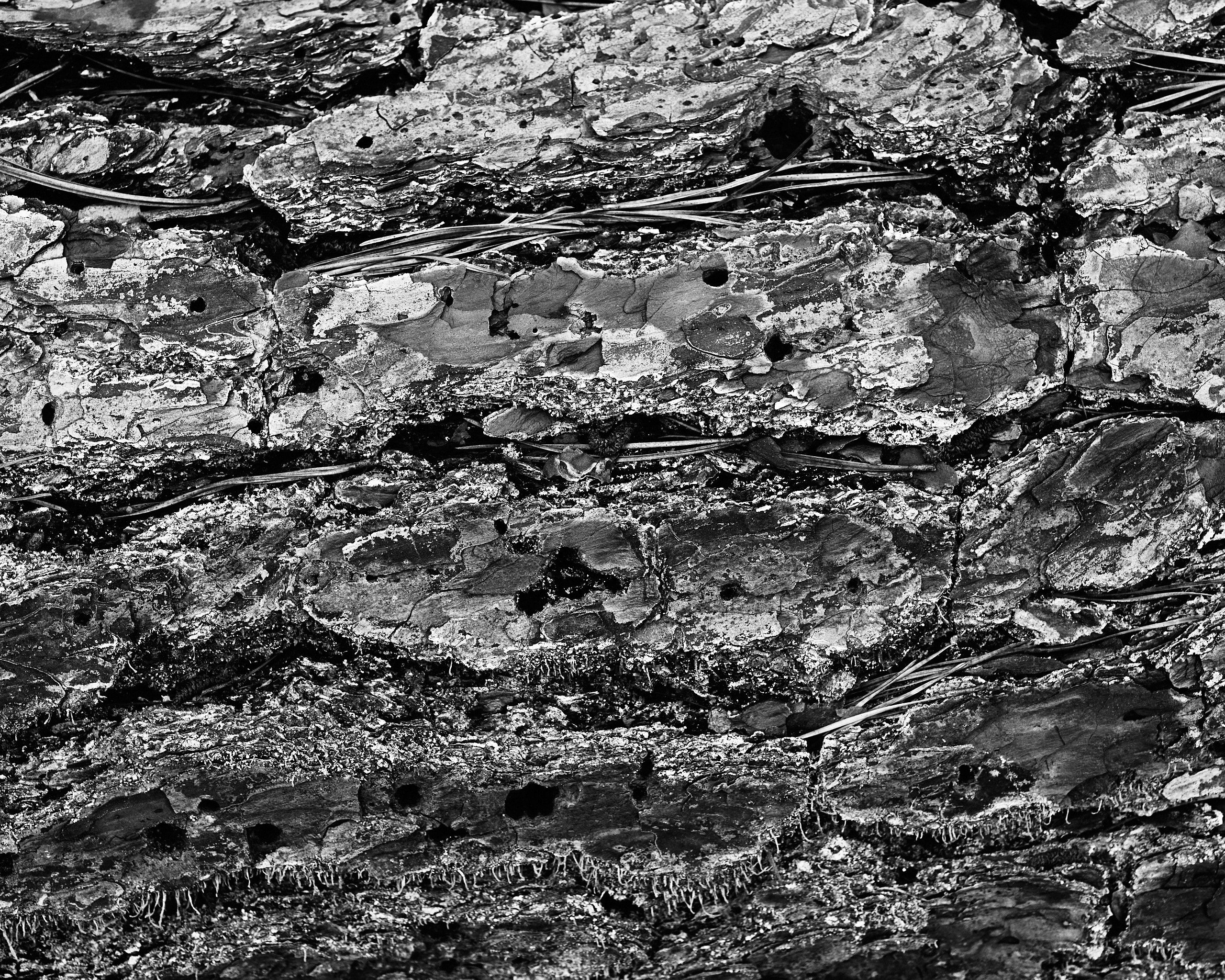 6060_0101.jpg