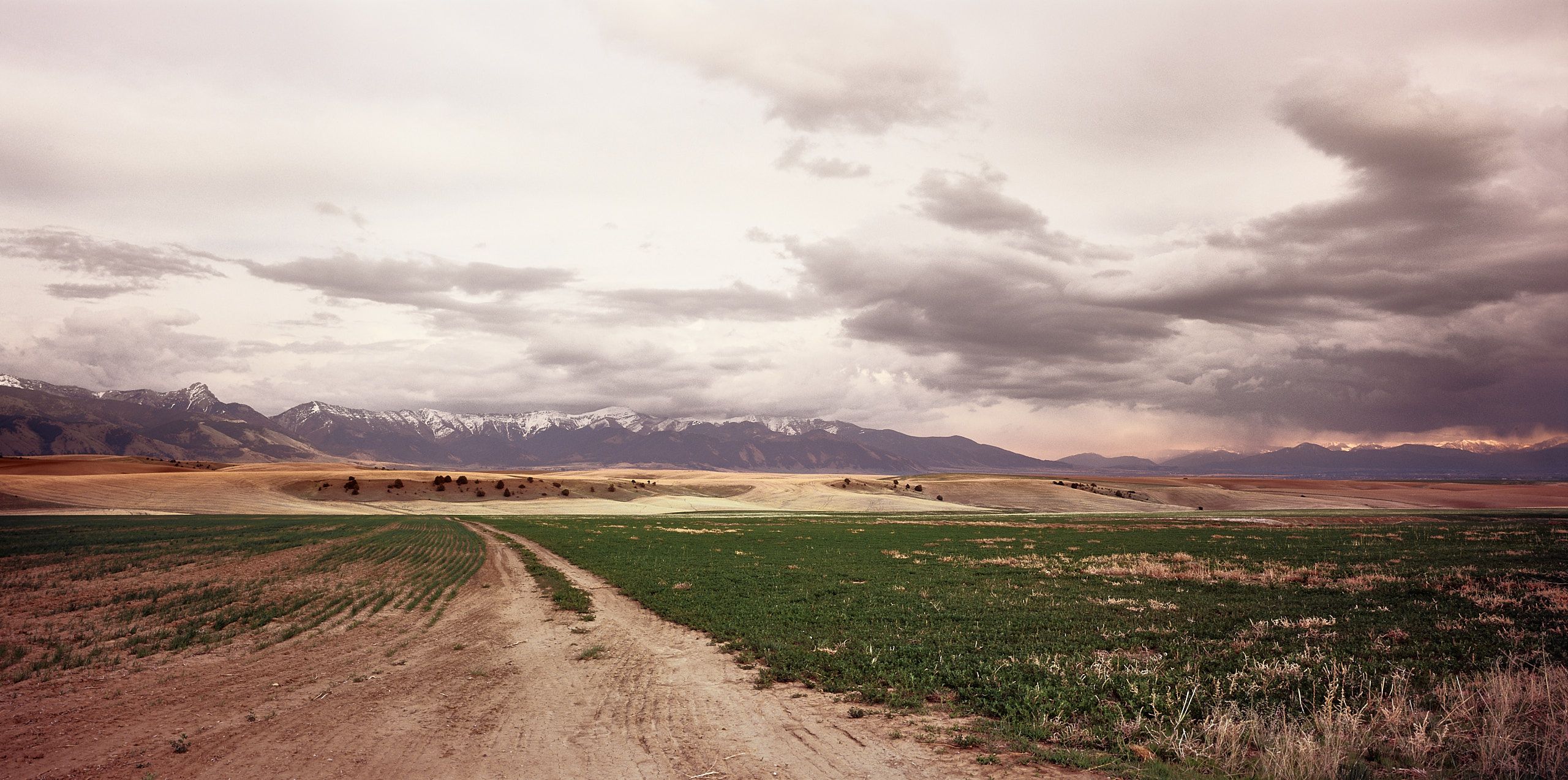 59260181_3560-2 1.jpg