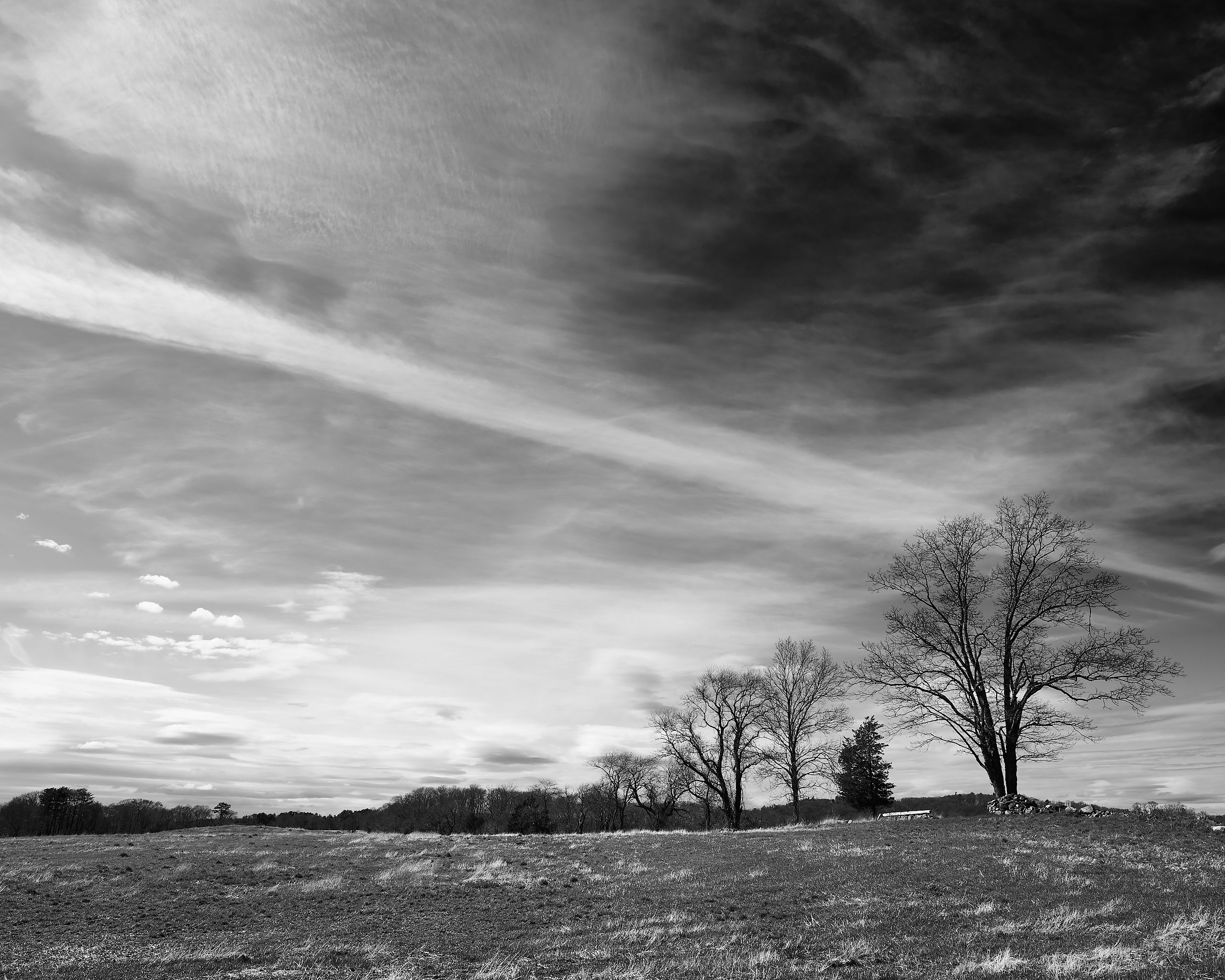6081_0044.jpg