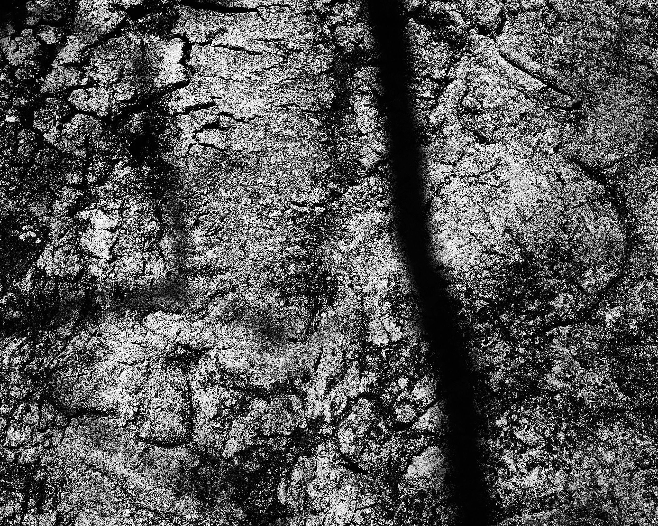 6076_0100.jpg
