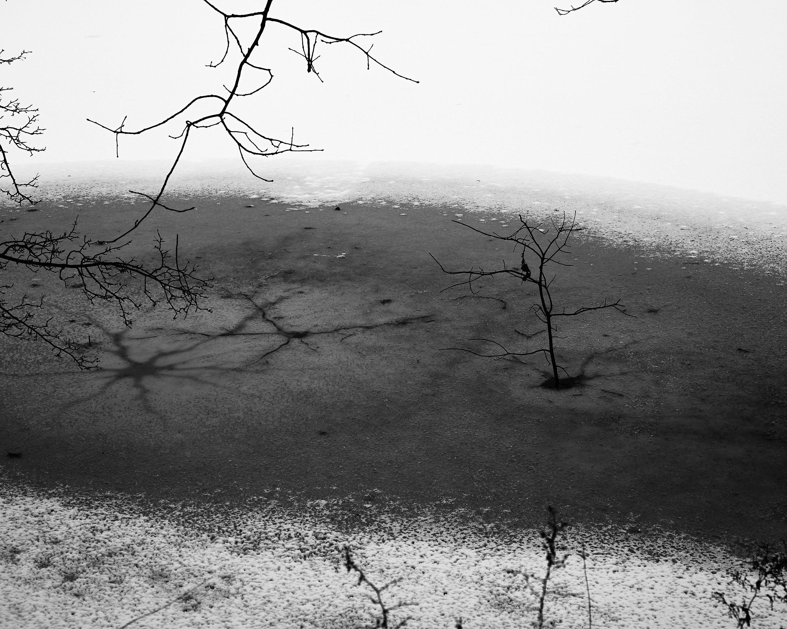 6076_0024.jpg