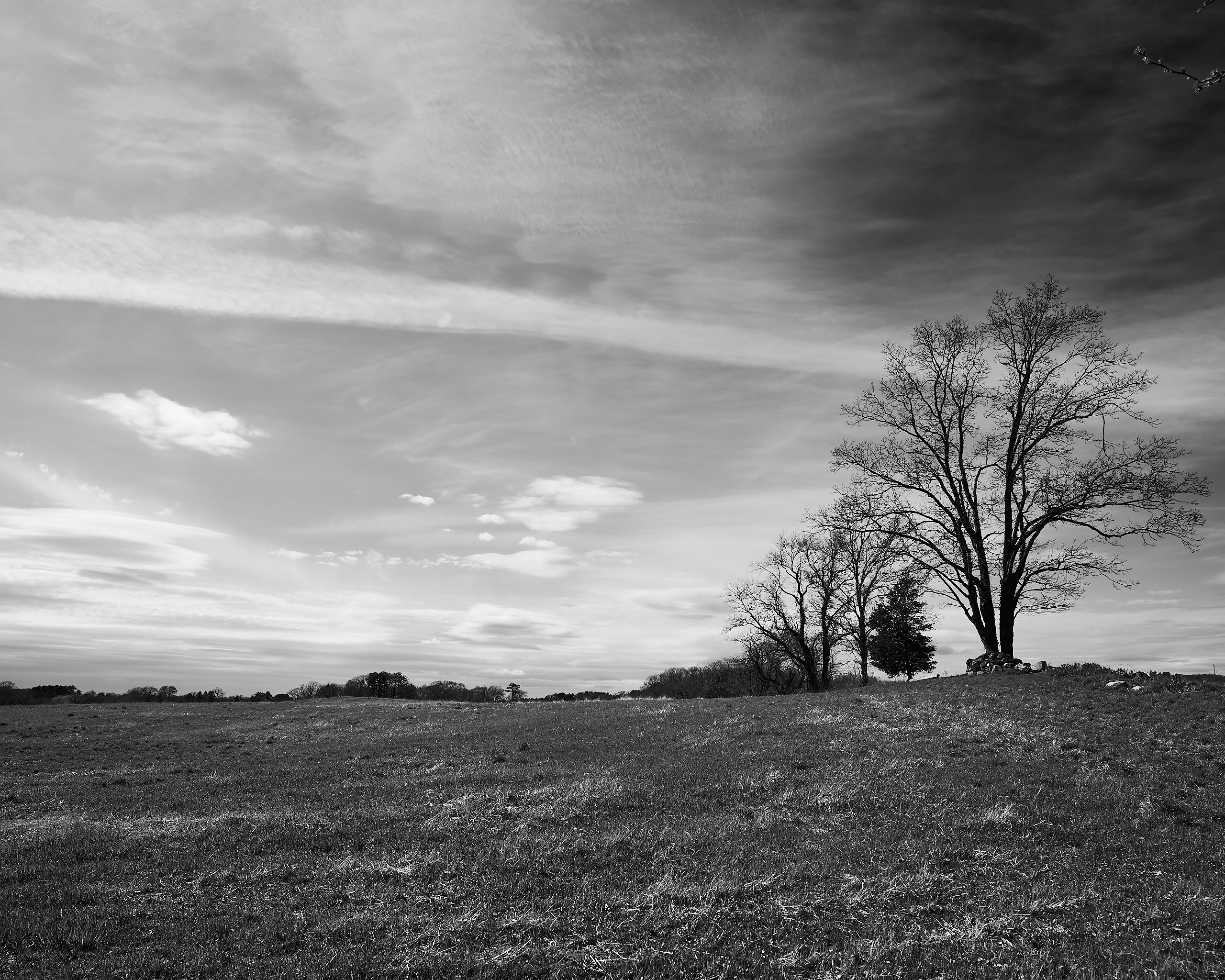 6081_0038.jpg