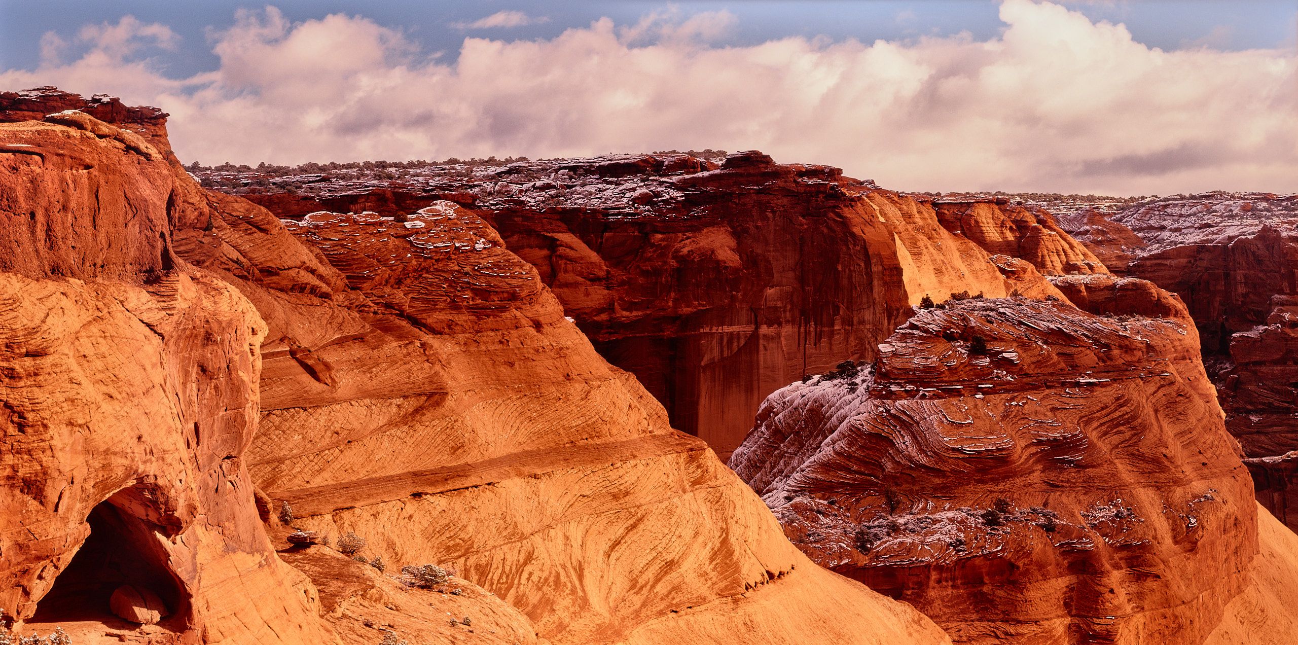 59250003_2929-1 2.jpg