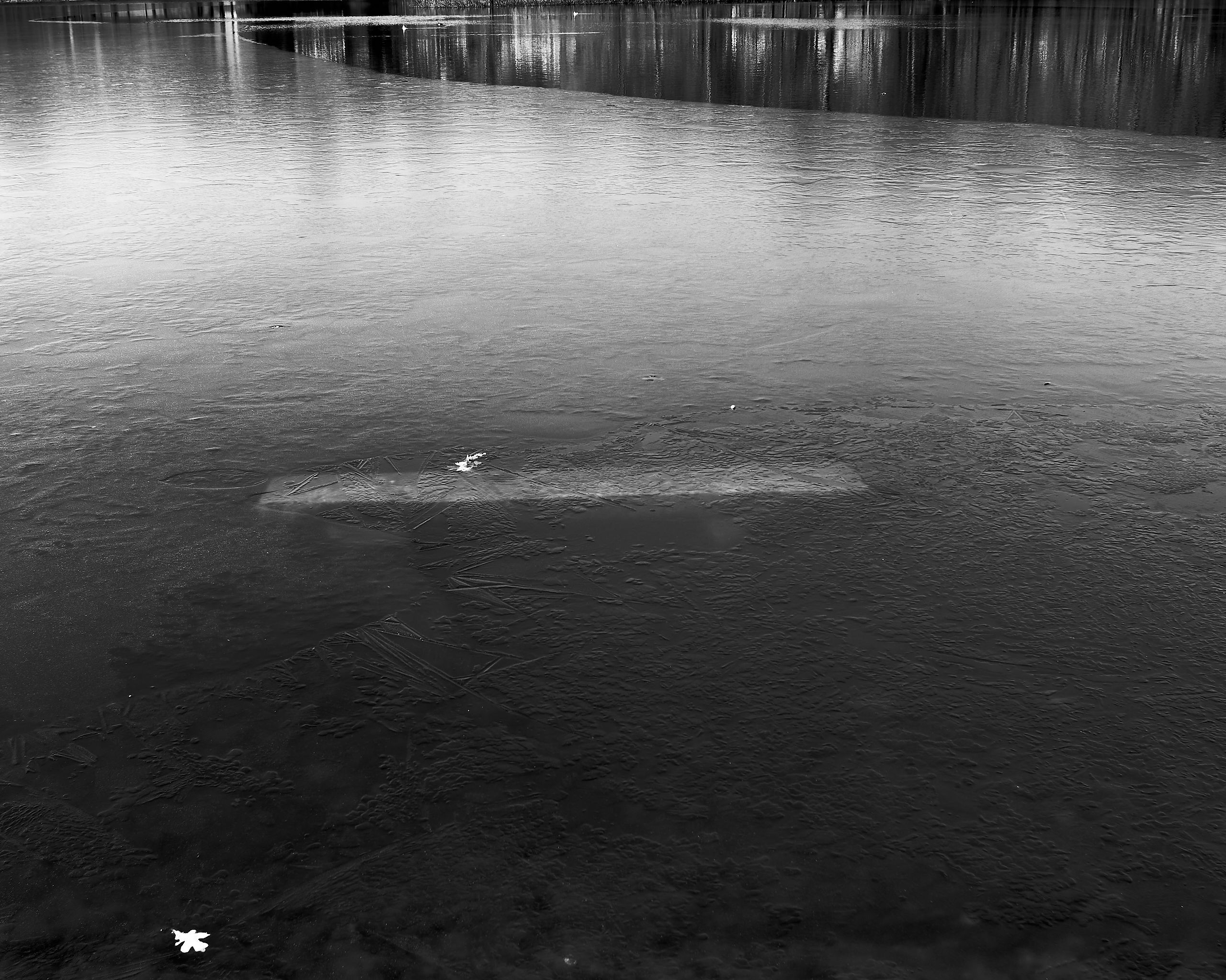 6076_0119.jpg
