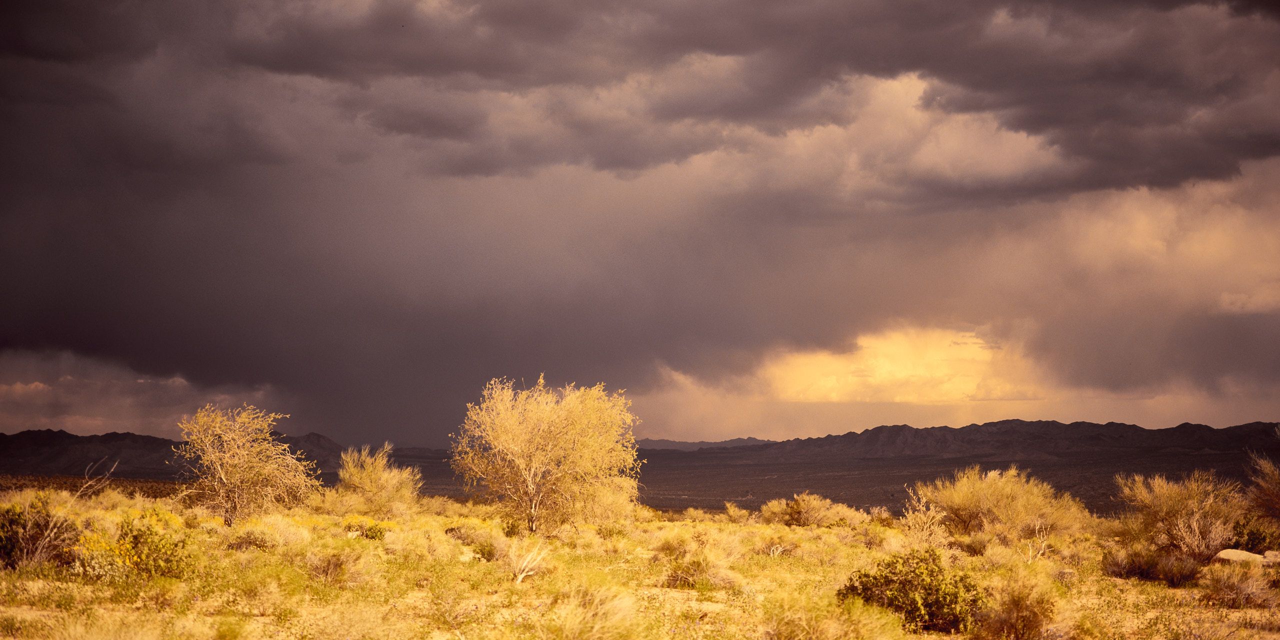 6020_0024_2215-2 1.jpg