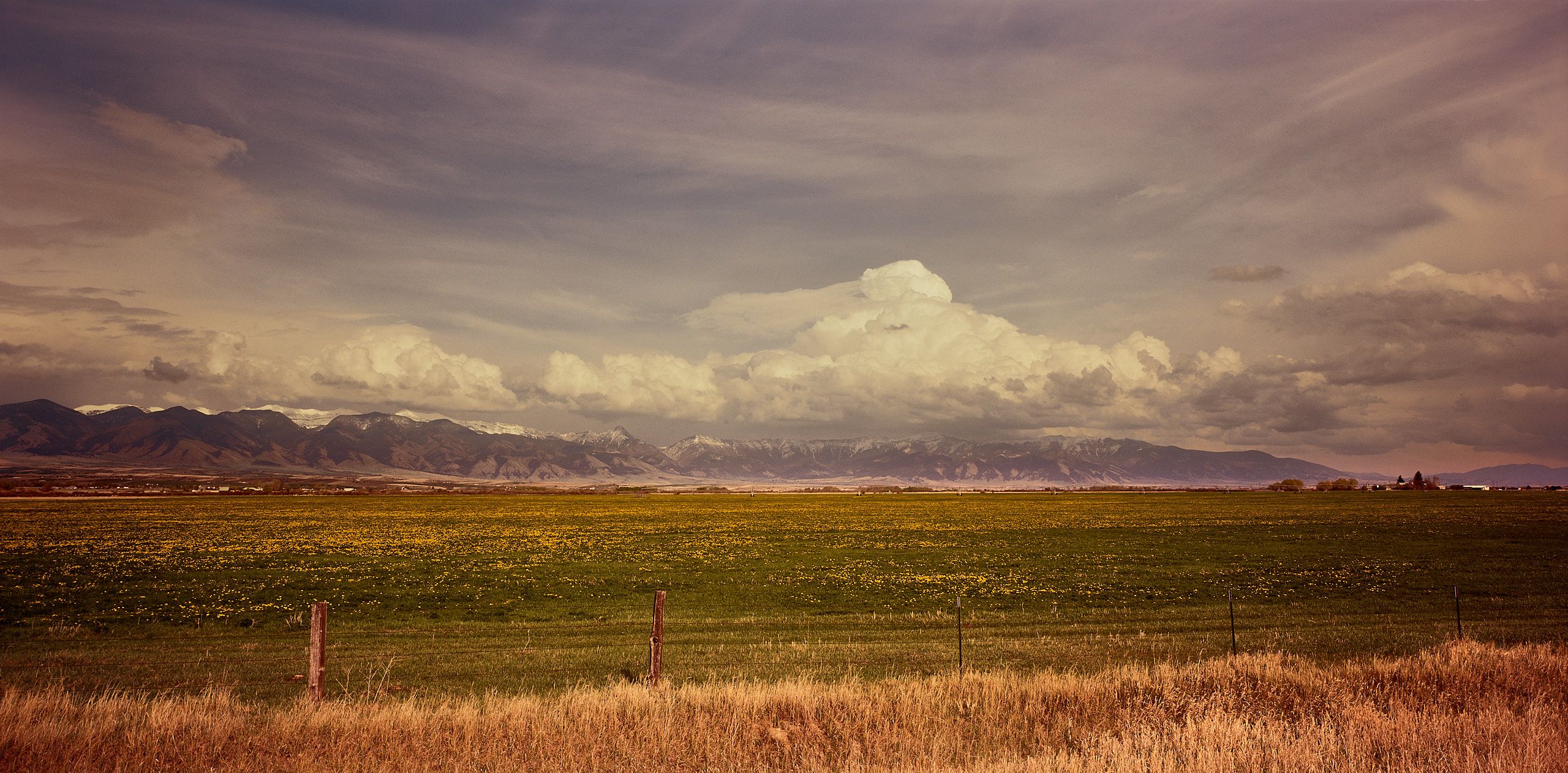 59260223_3565-1 3.jpg