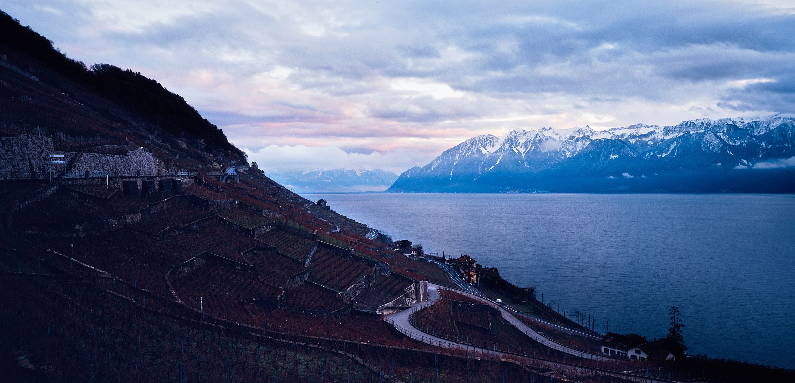 60100044_4275-4 1.jpg