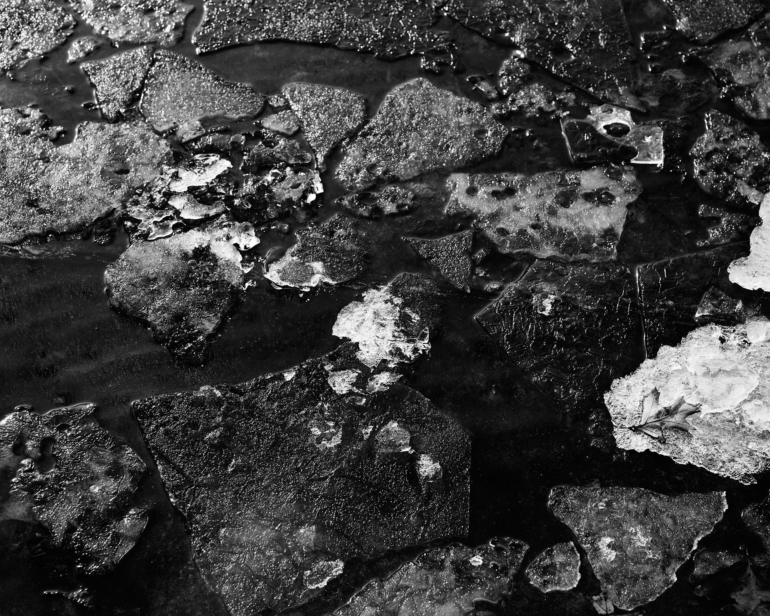 6060_0137.jpg