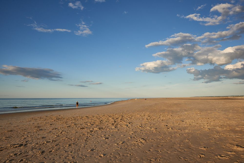 Automotive Backgrounds - Beach Scenes  Collection
