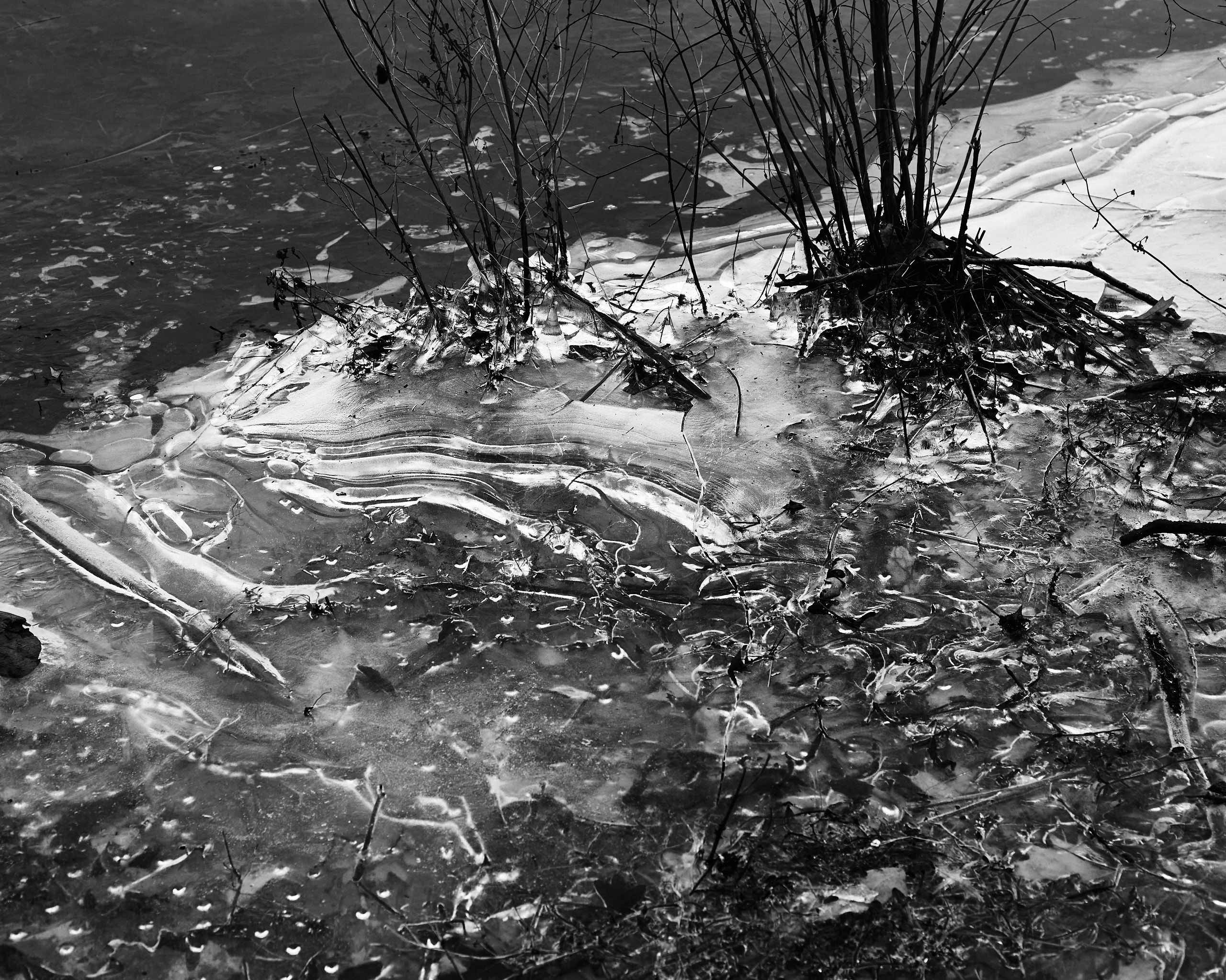 6060_0021.jpg