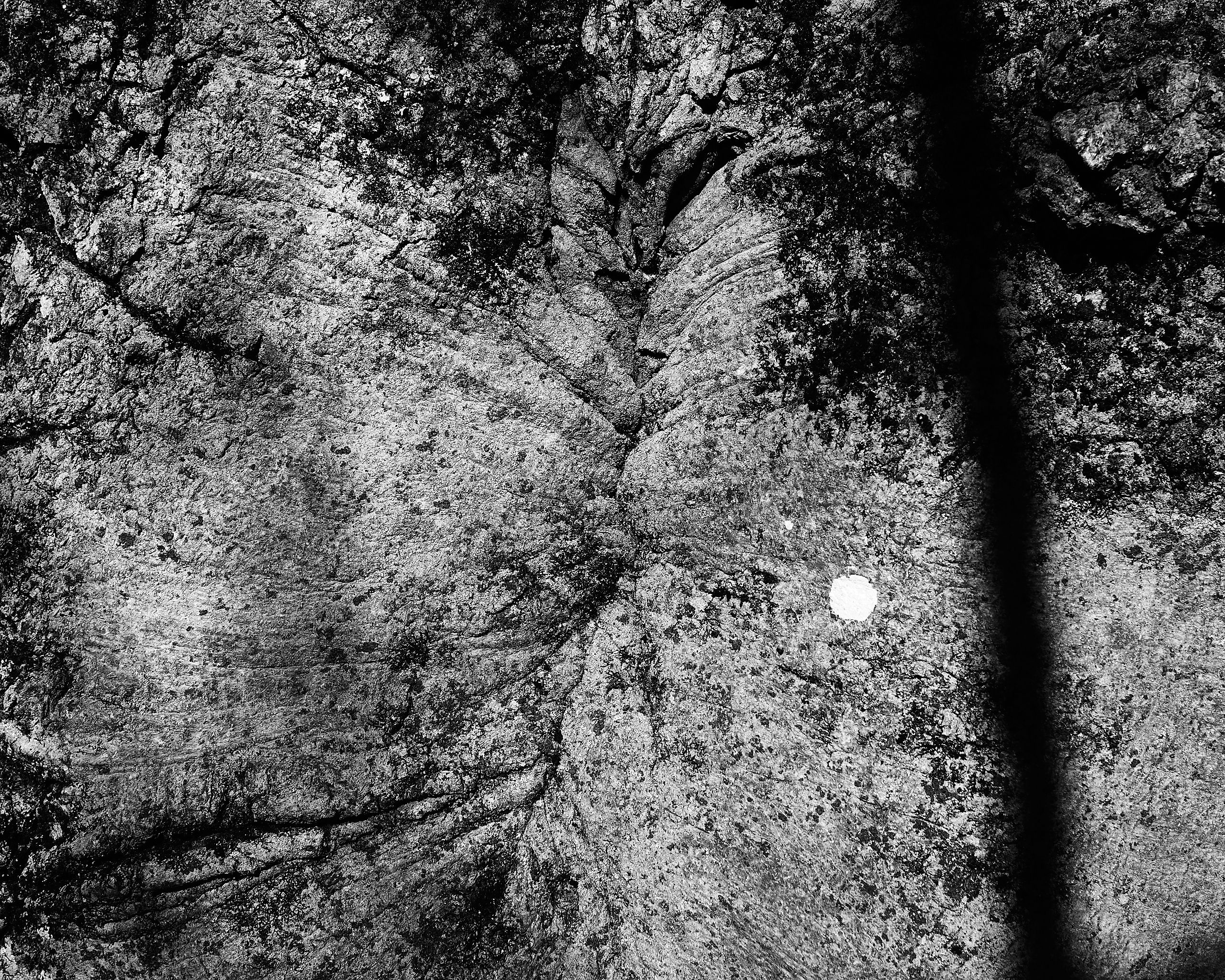 6076_0099.jpg