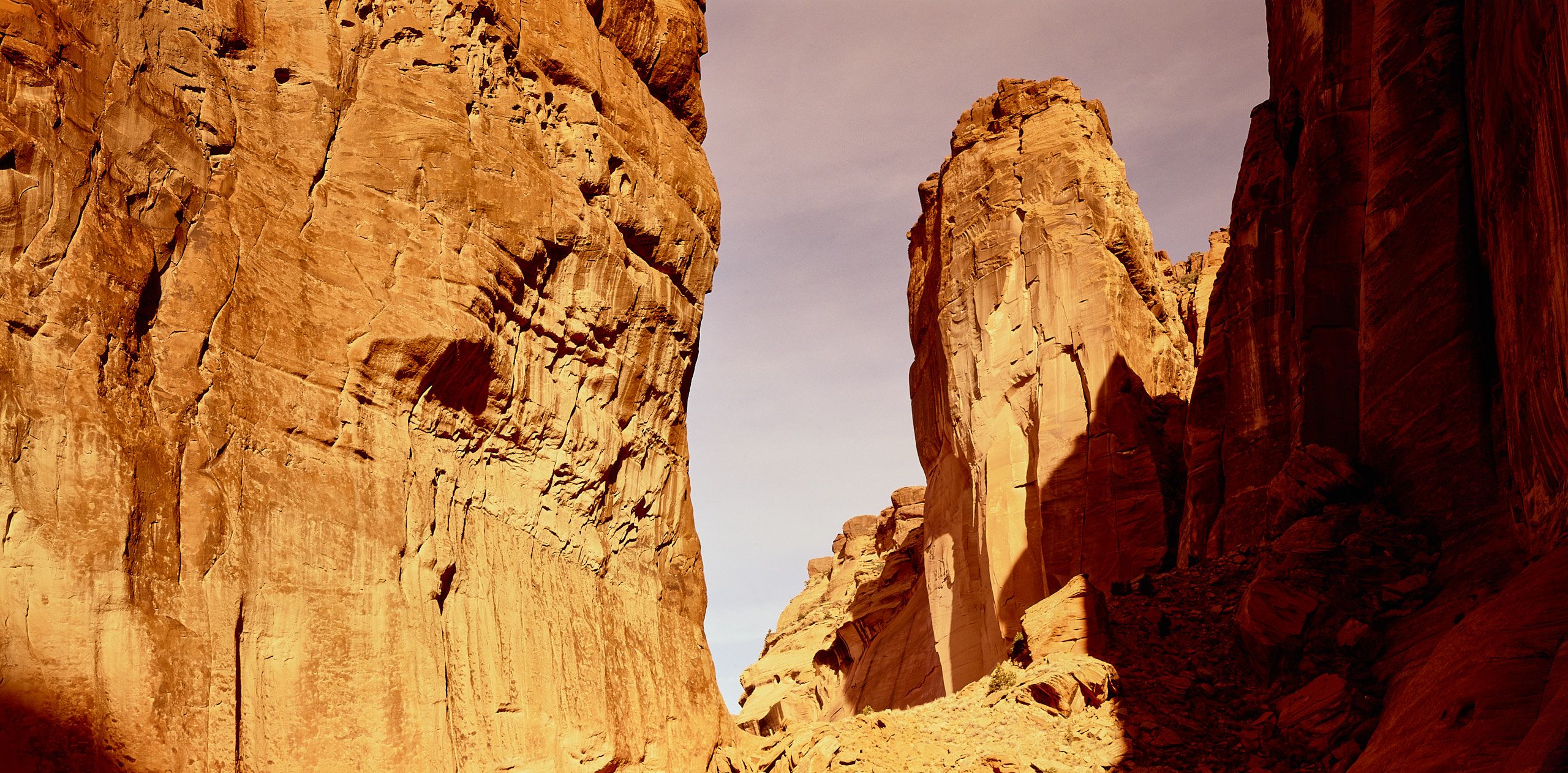 59250006_2936-5 1.jpg