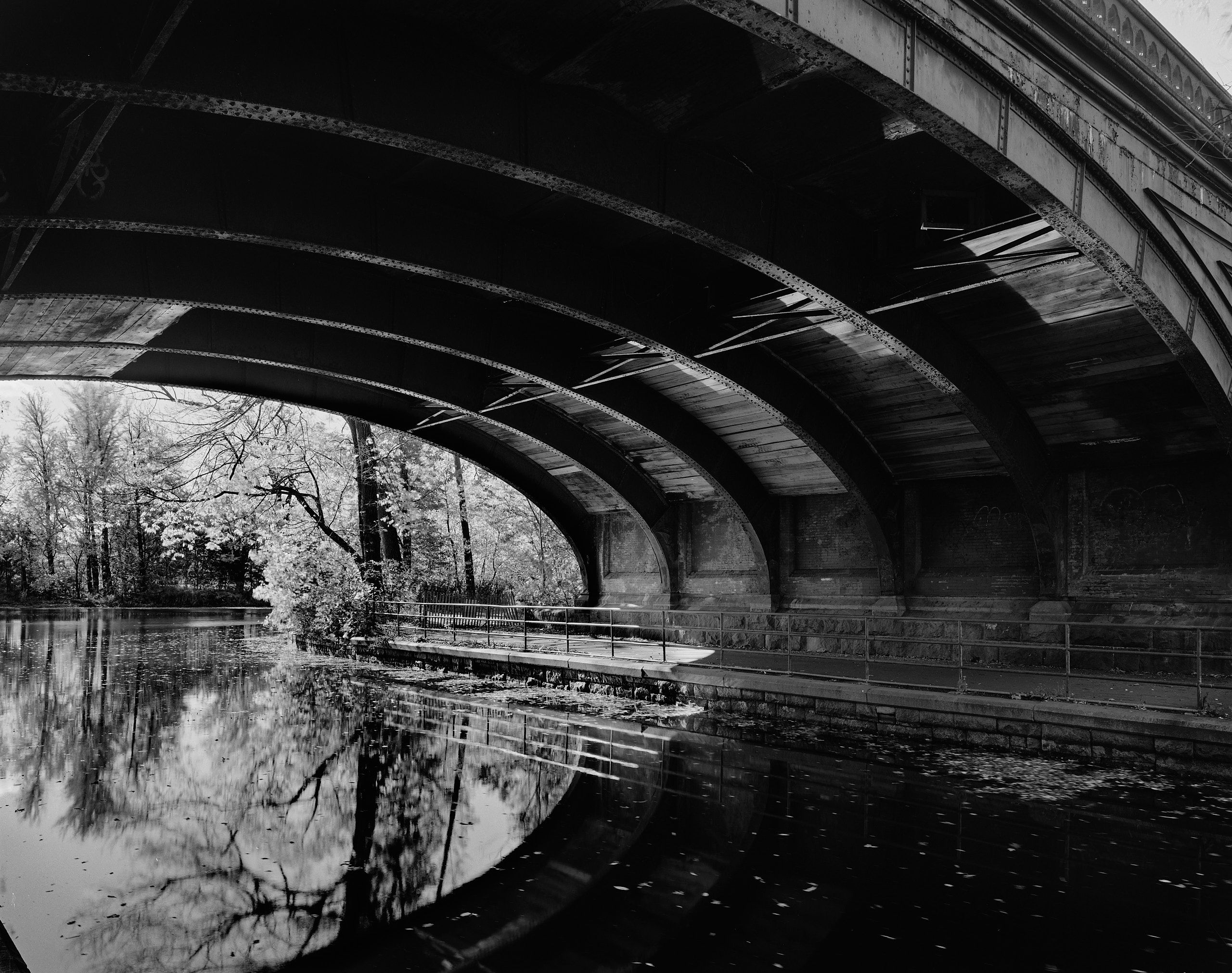 5982_0119_4937 1.jpg