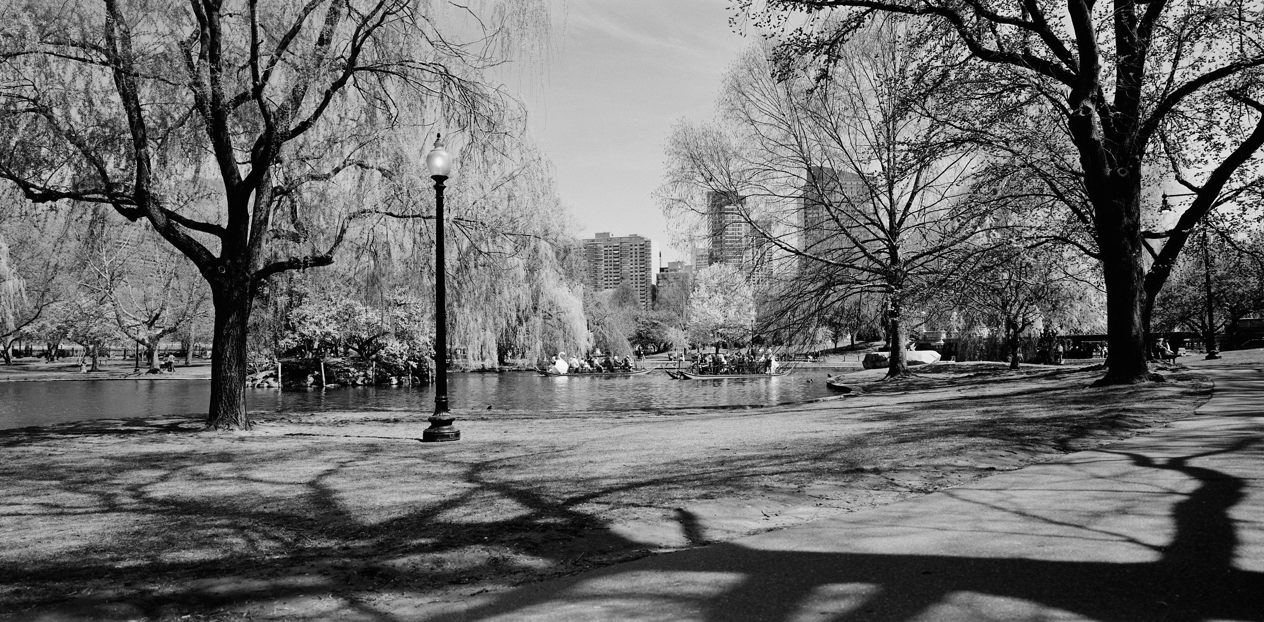 6030_0123_4334-3.jpg