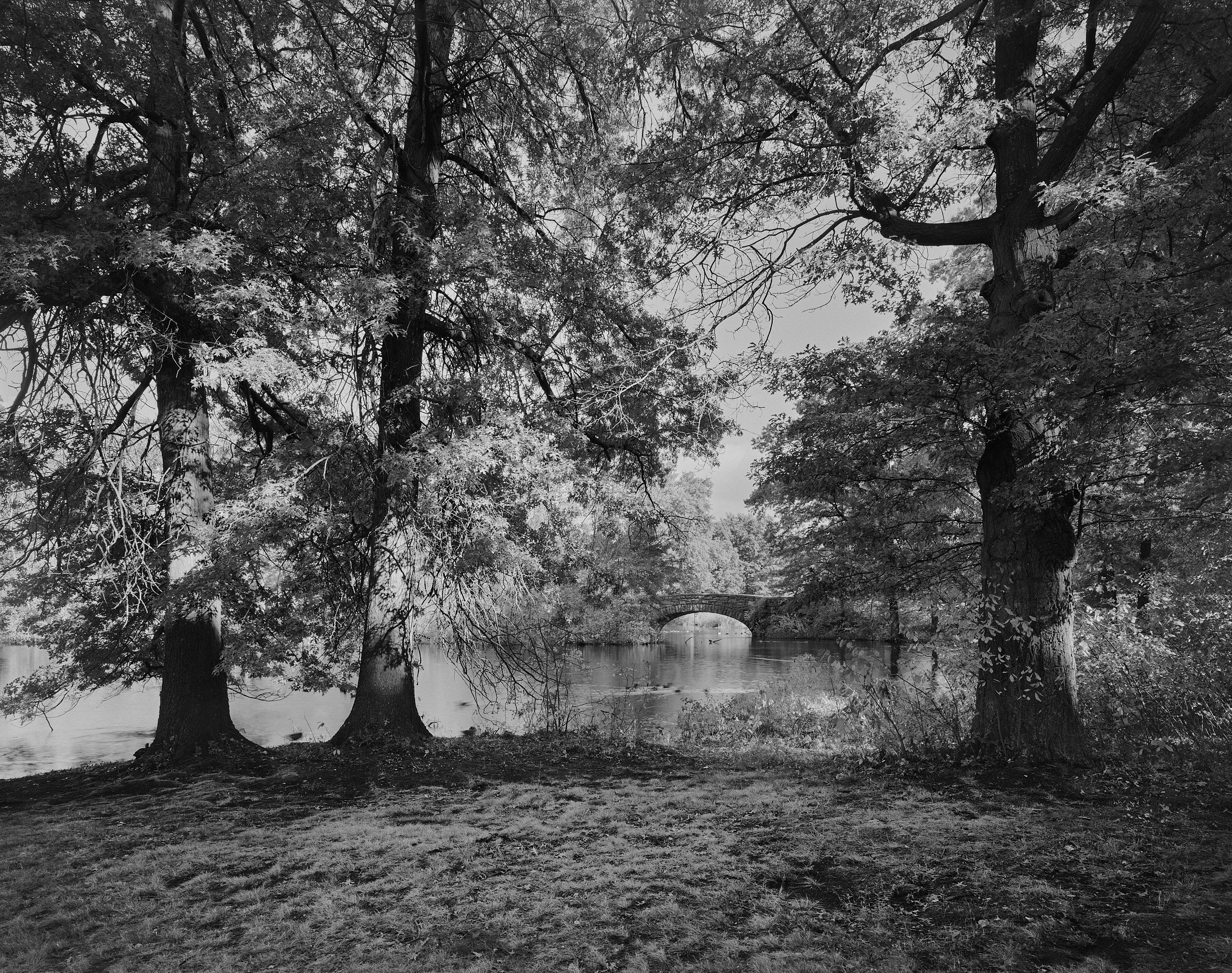 5982_0078_4916 1.jpg