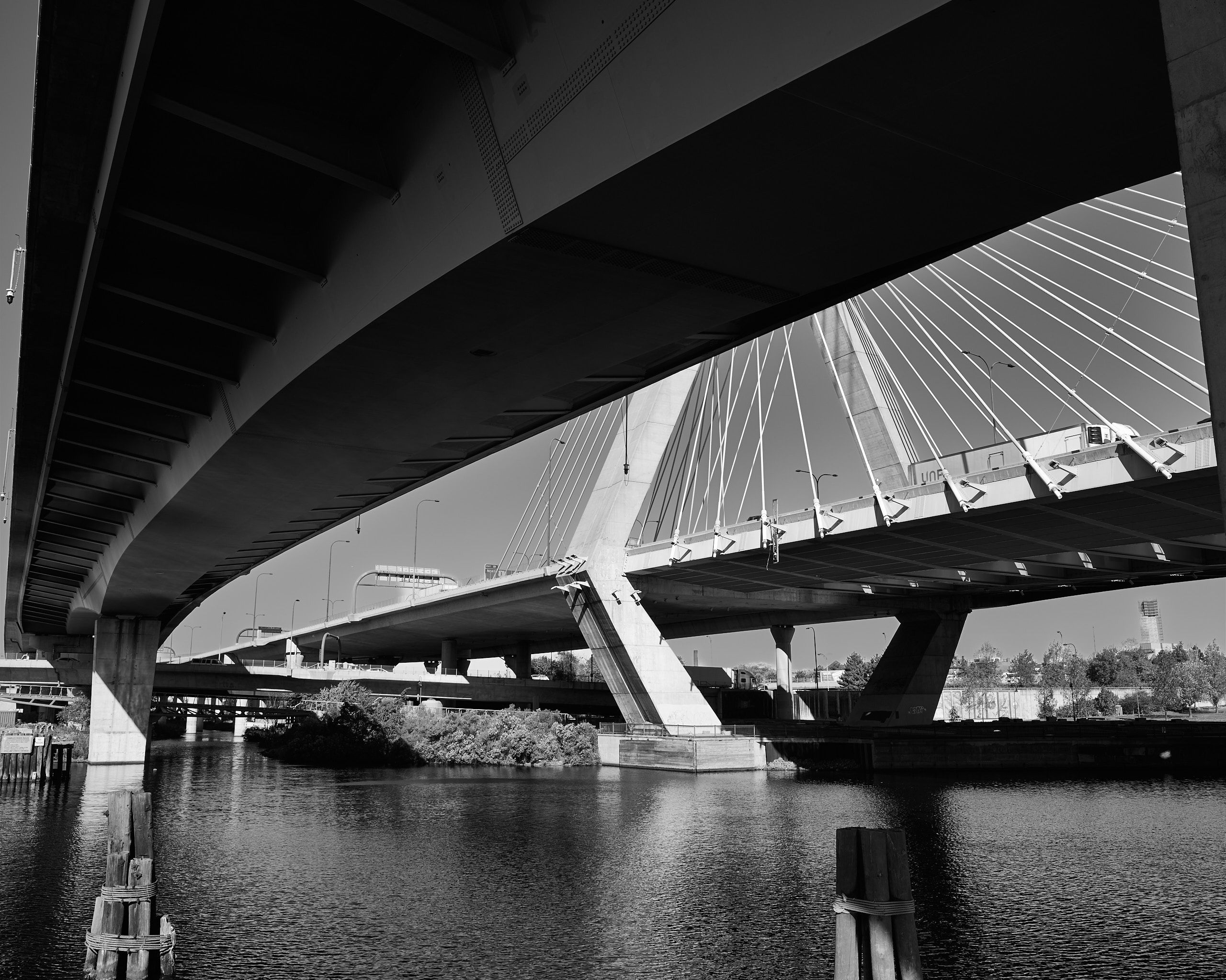 6074_0223.jpg
