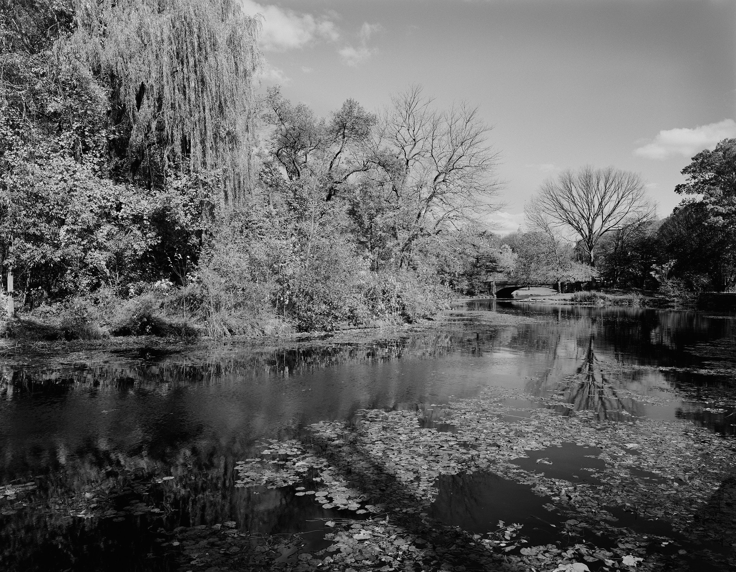 5982_0109_4933 1.jpg