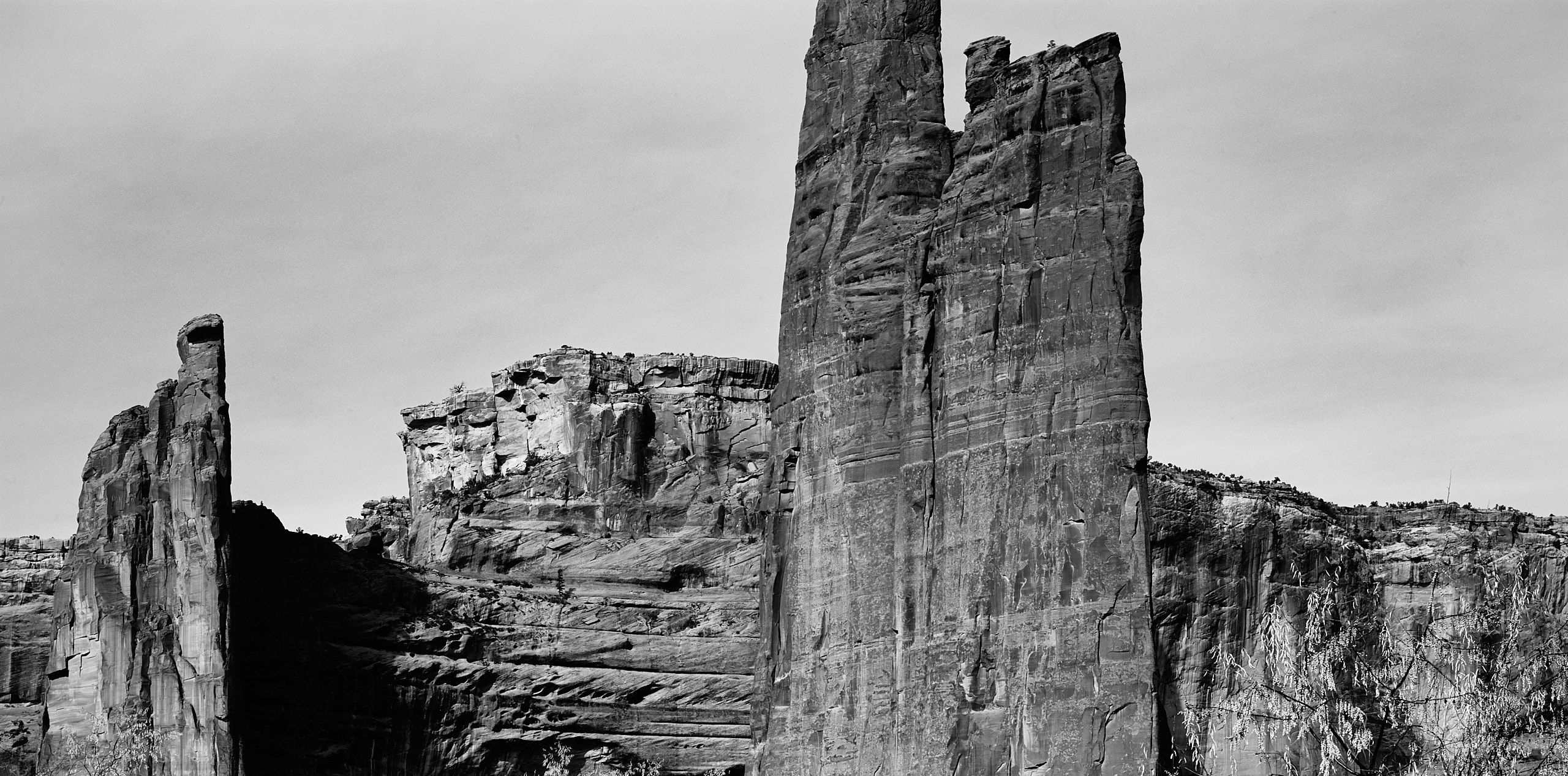 59250008_2939-2 3.jpg