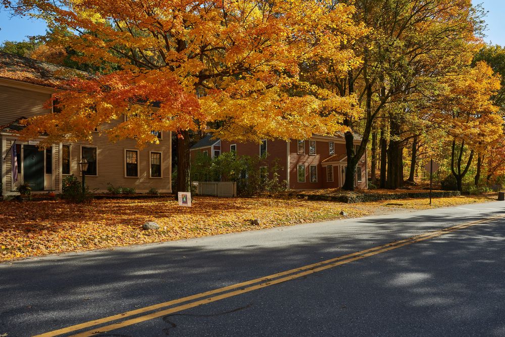 Automotive Backgrounds - Fall Foliage  Collection