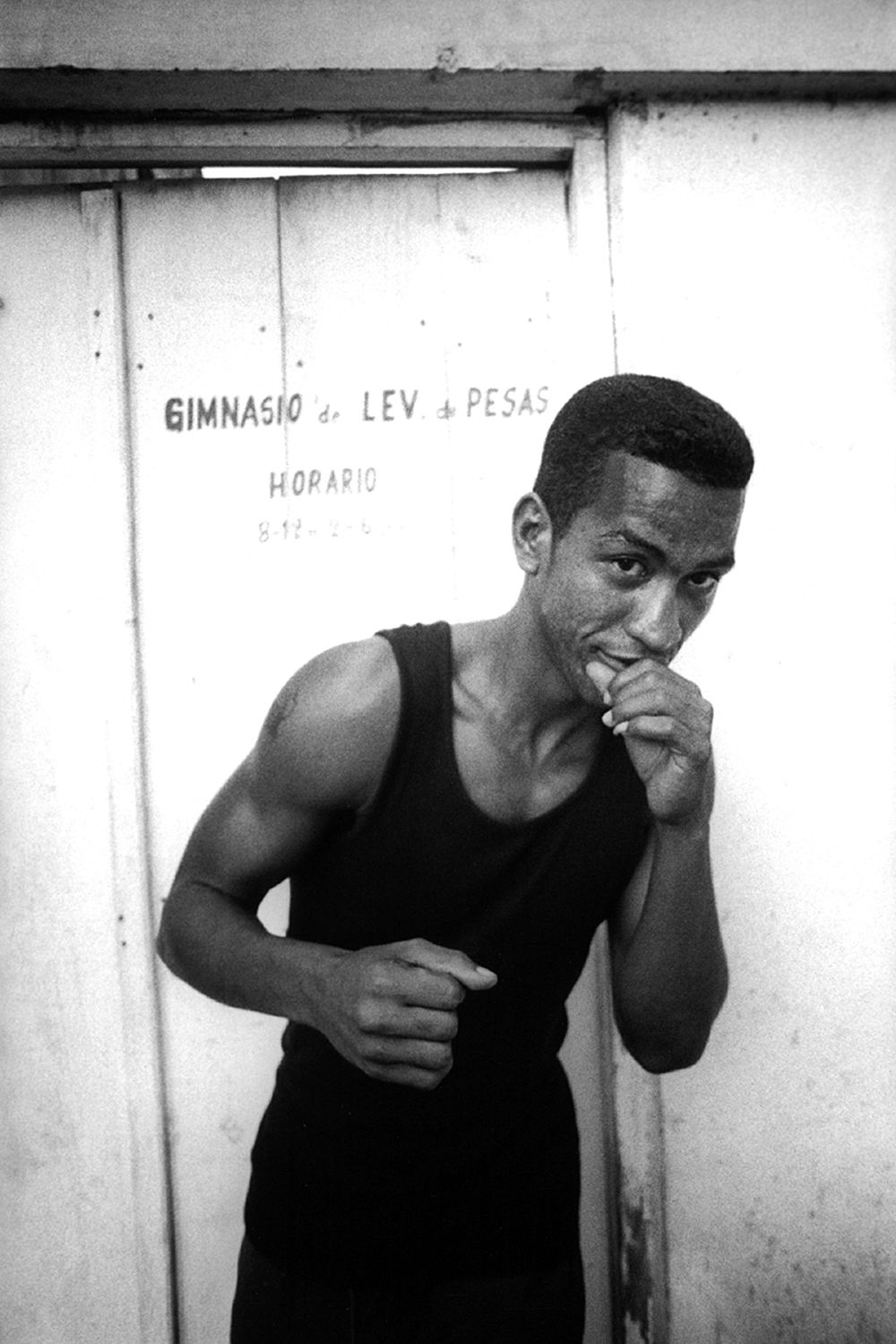 1cuban_boxer_2_copy_1.jpg