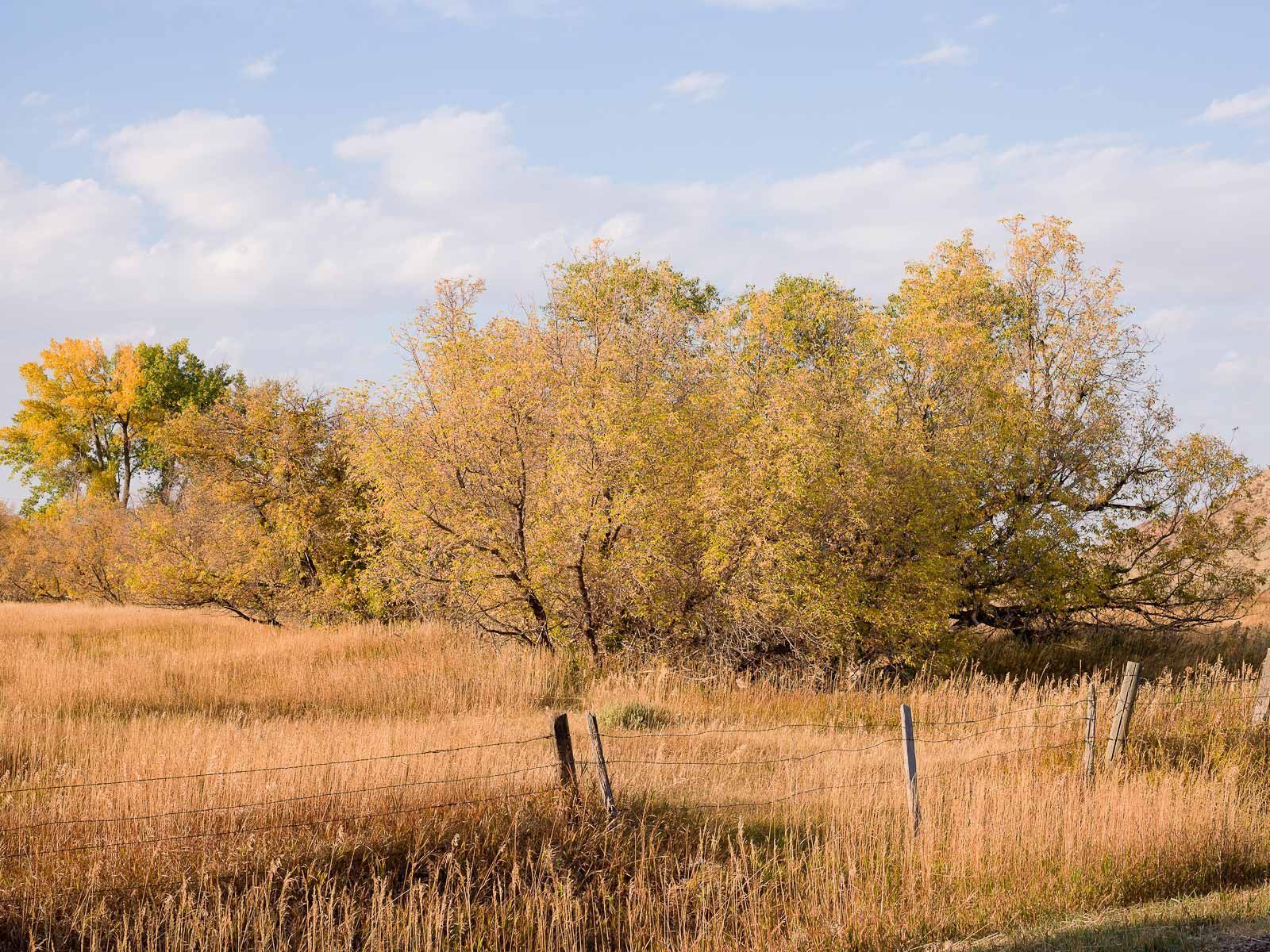 Hot Sunny Day in Wyoming