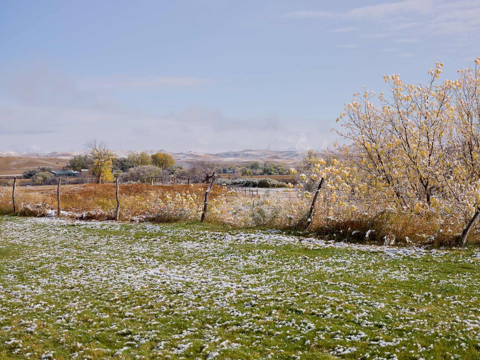 Neltje's Land in Banner, Wyoming