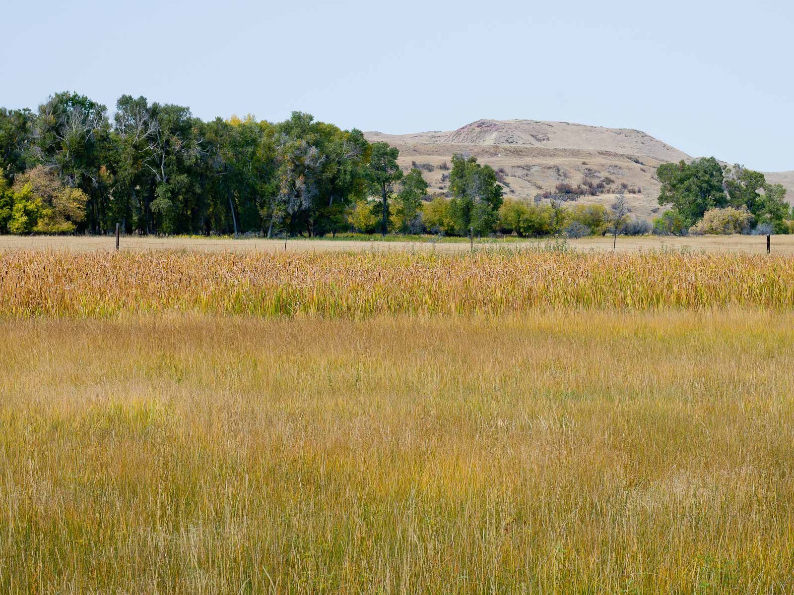 Sunny Day in Rural Wyoming