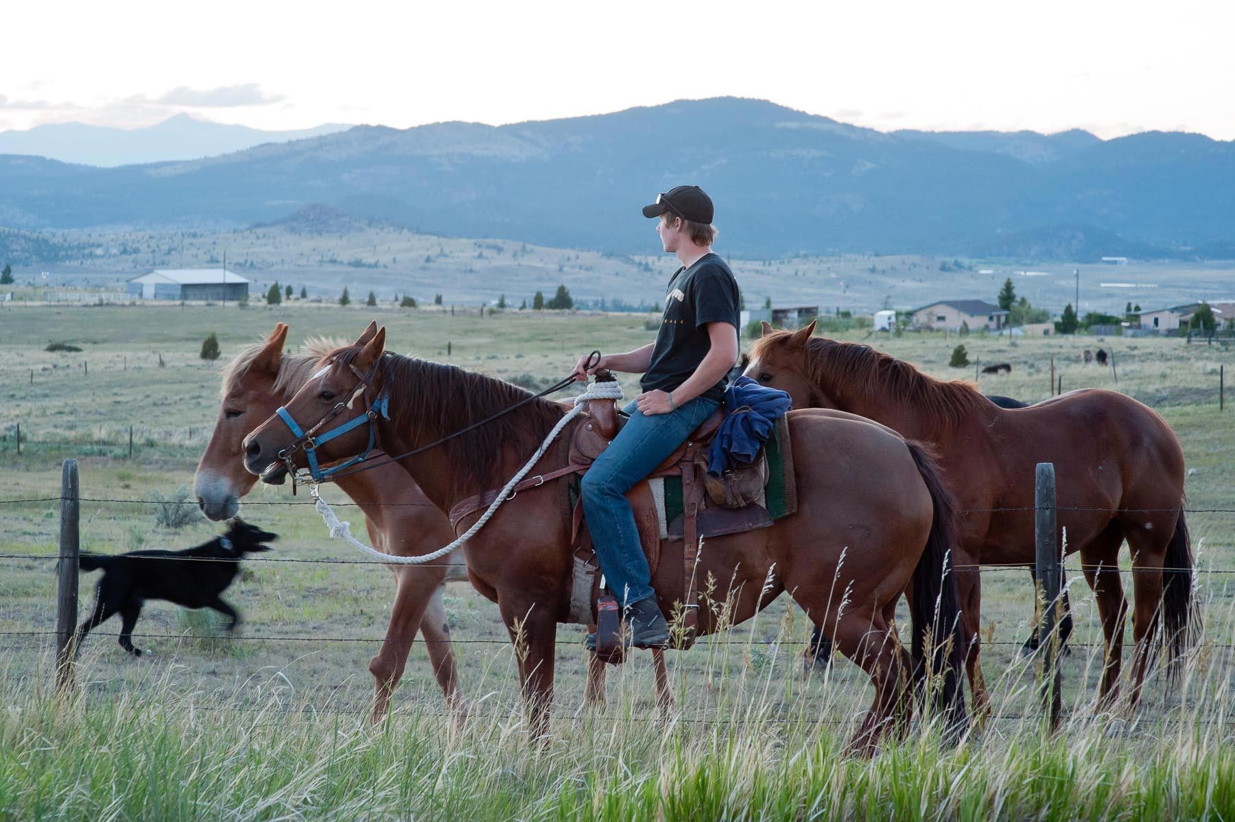 Quinn Sullivan Montana Cowboy