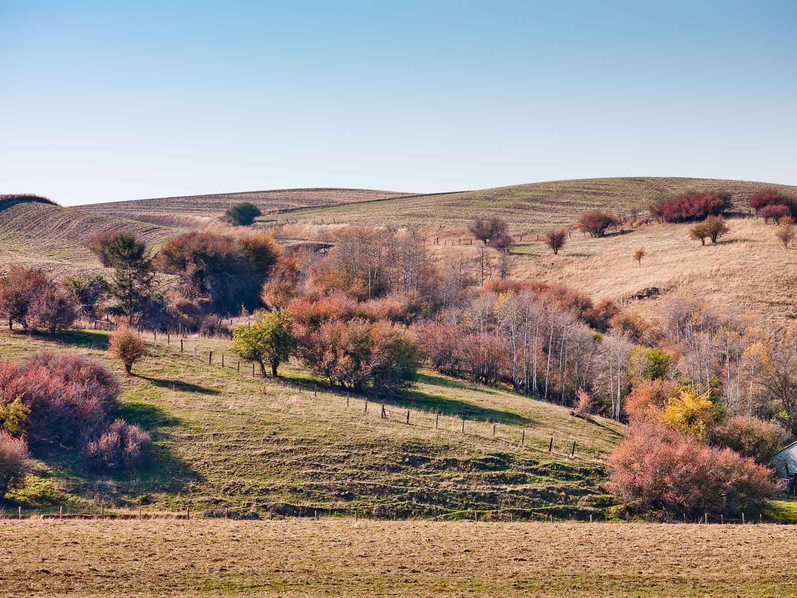 1autumn_scene_palouse_idaho