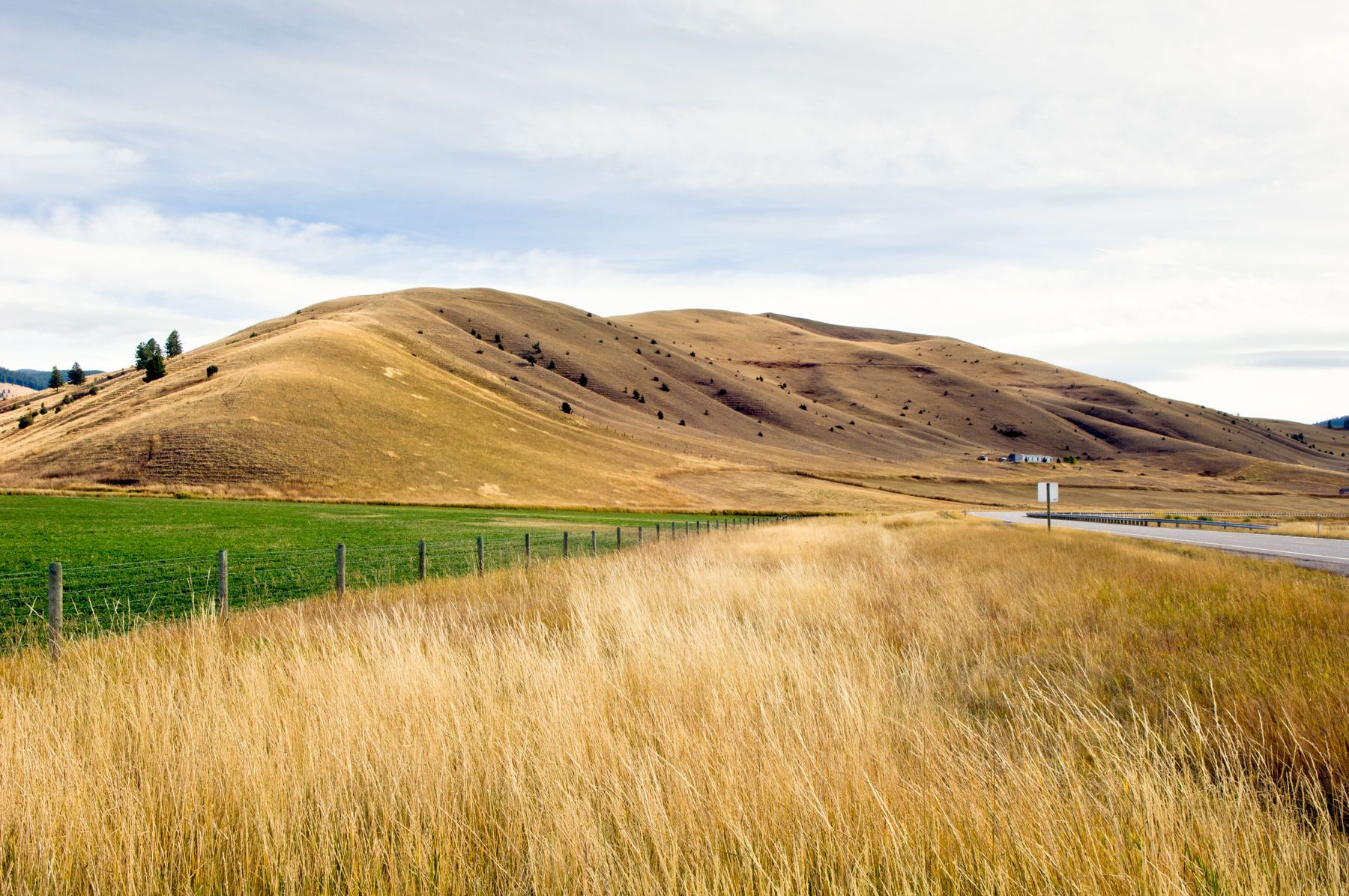 Pintler Veterans Memorial Scenic Hwy #1, Montana