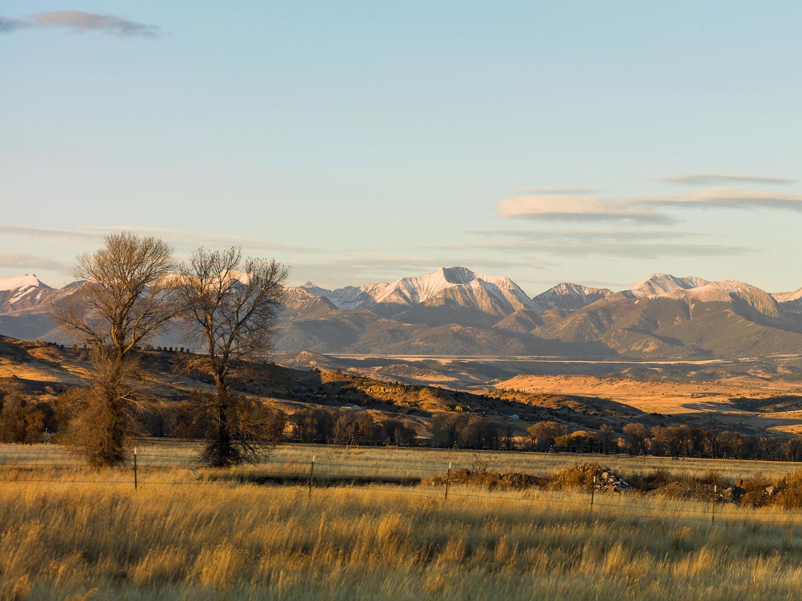 1livingston_montanasheep_mountain