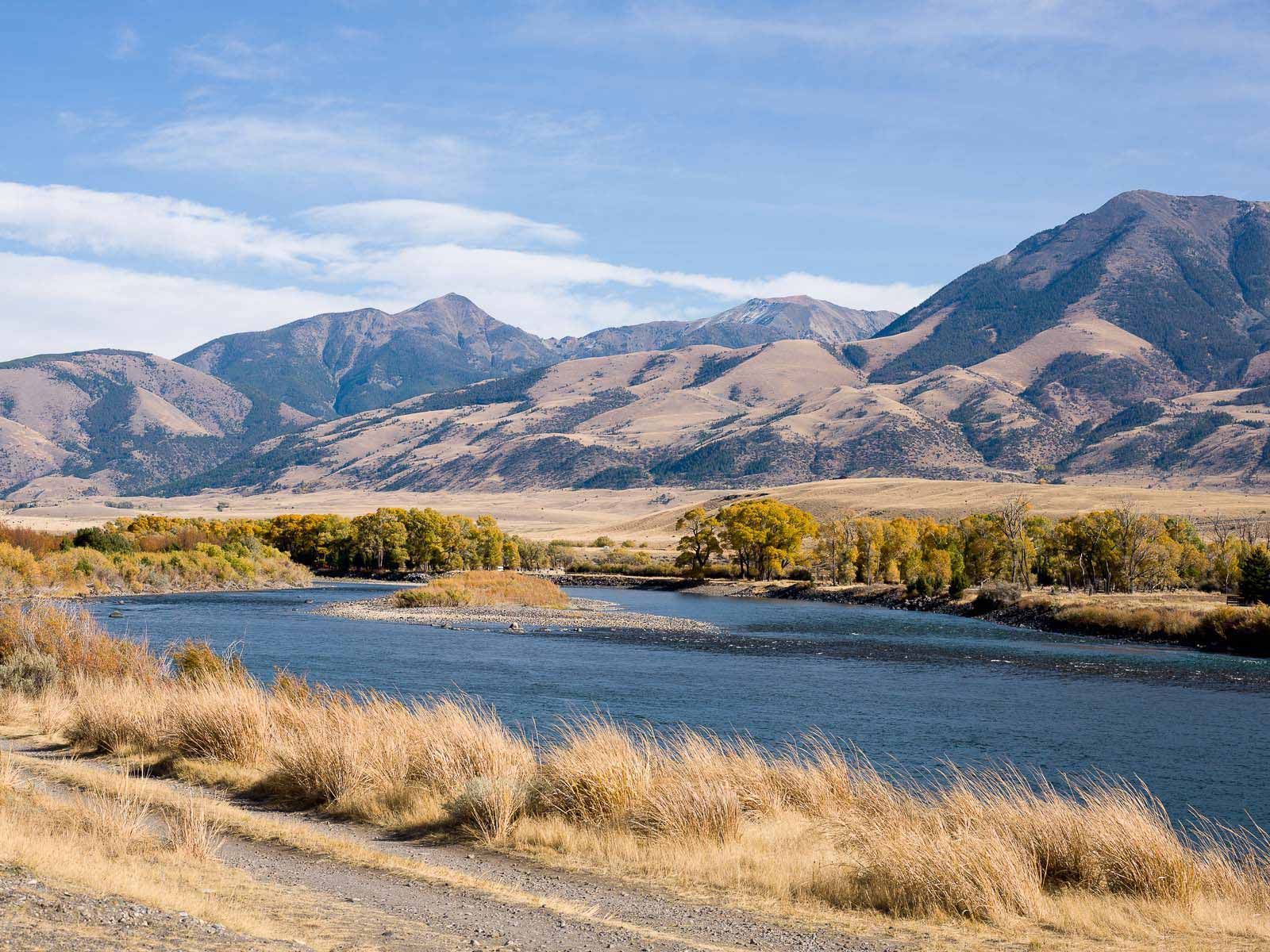 When I Think of my Montana Childhood I Remember This