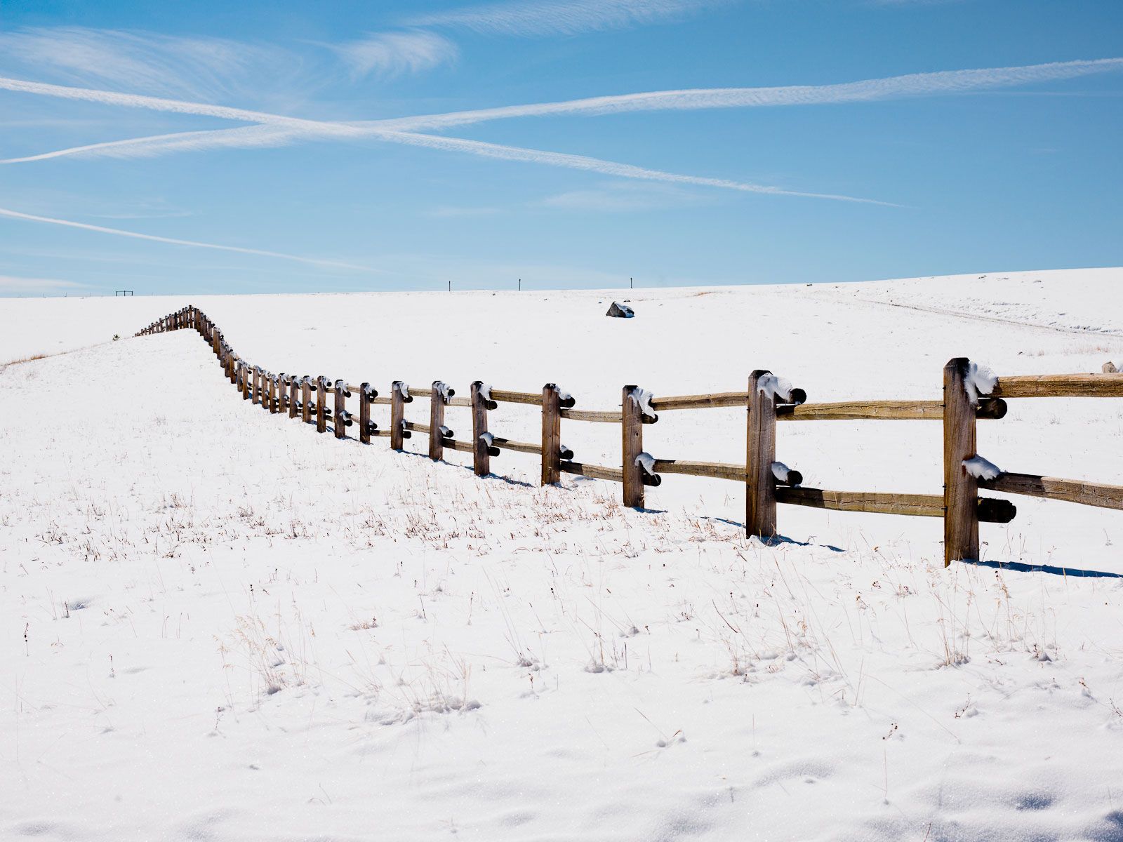 At The Top of the Big Horn Mountains