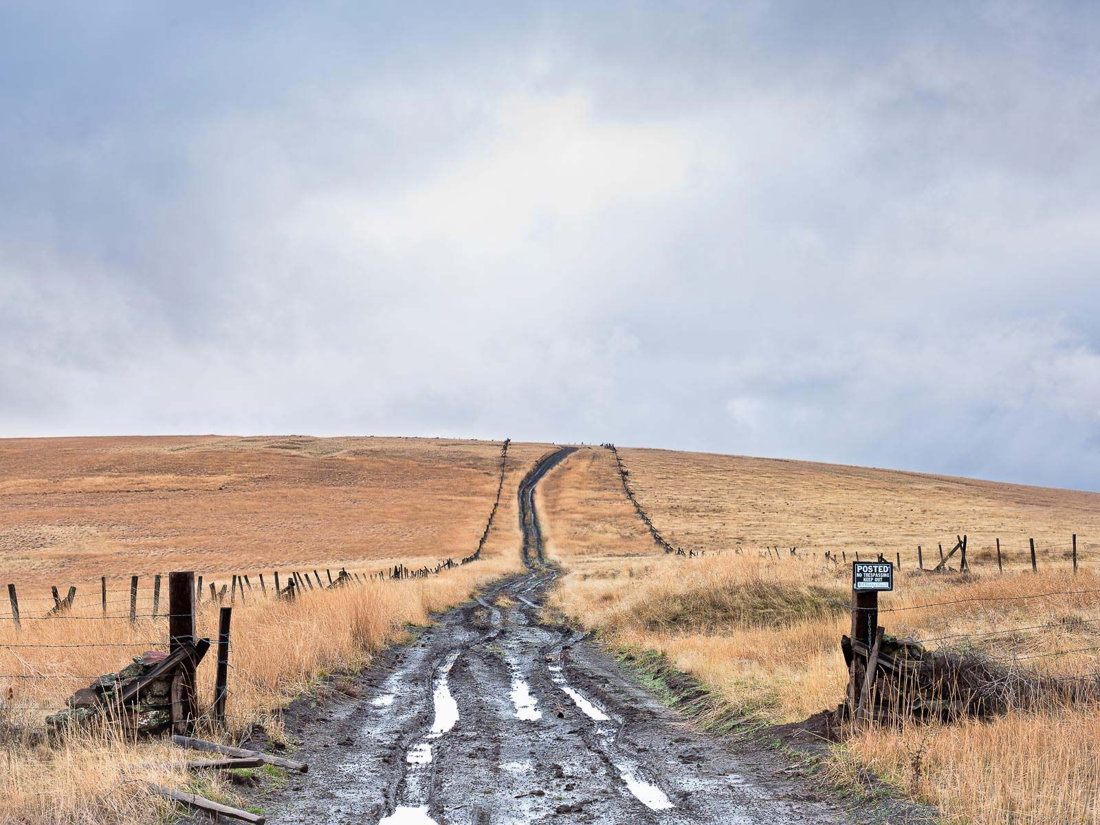 1ragged_line_eastern_oregon