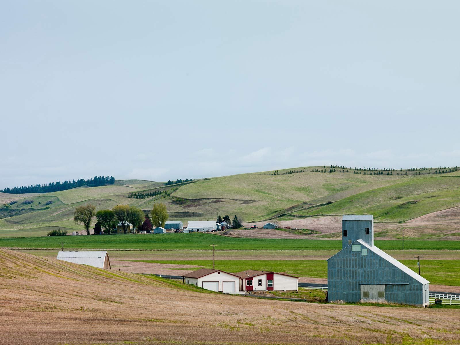 Palouse Farm on Highway #23 Between Colfax and I-90