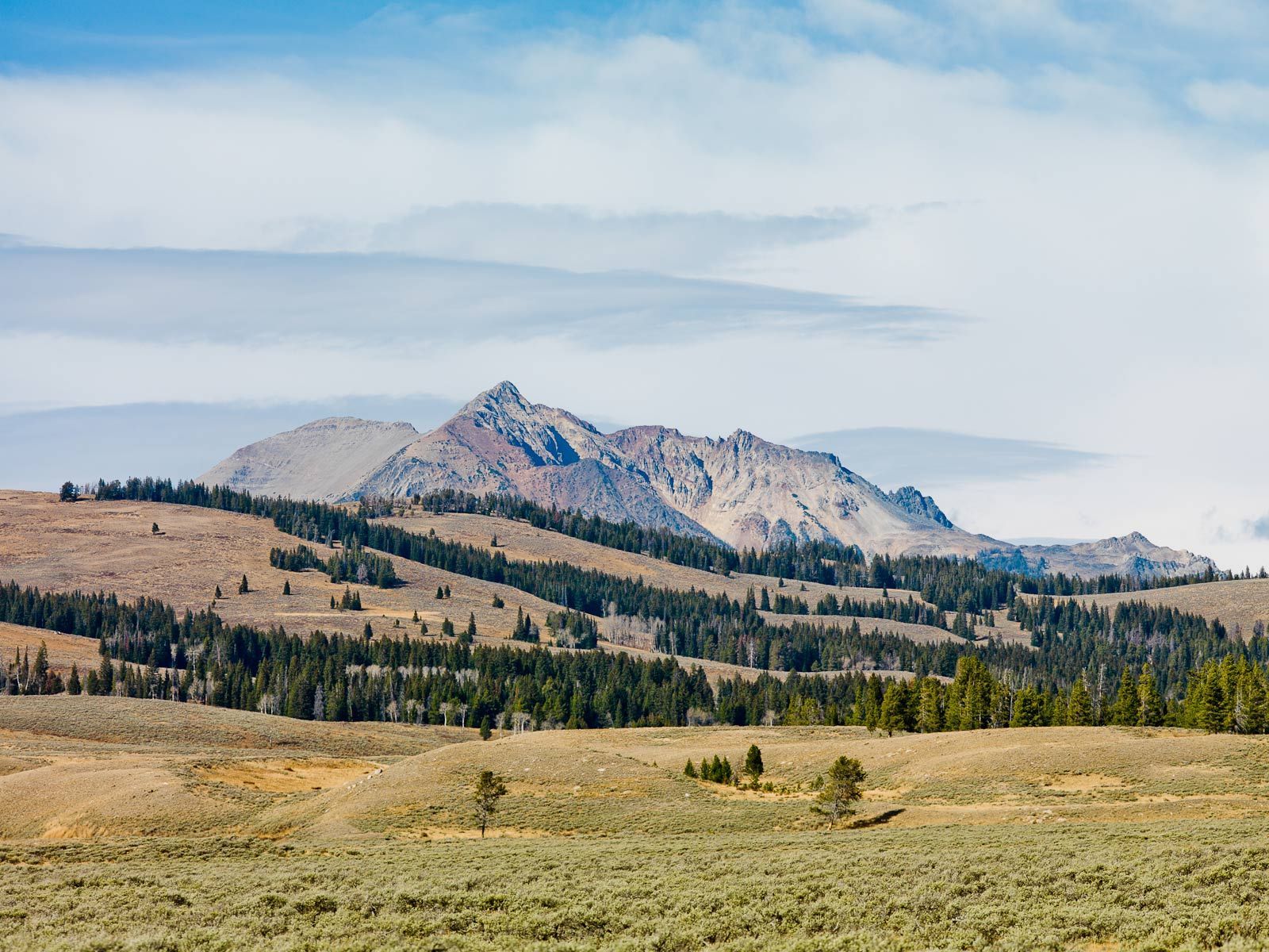 Grand Loop Road Yellowstone National Park