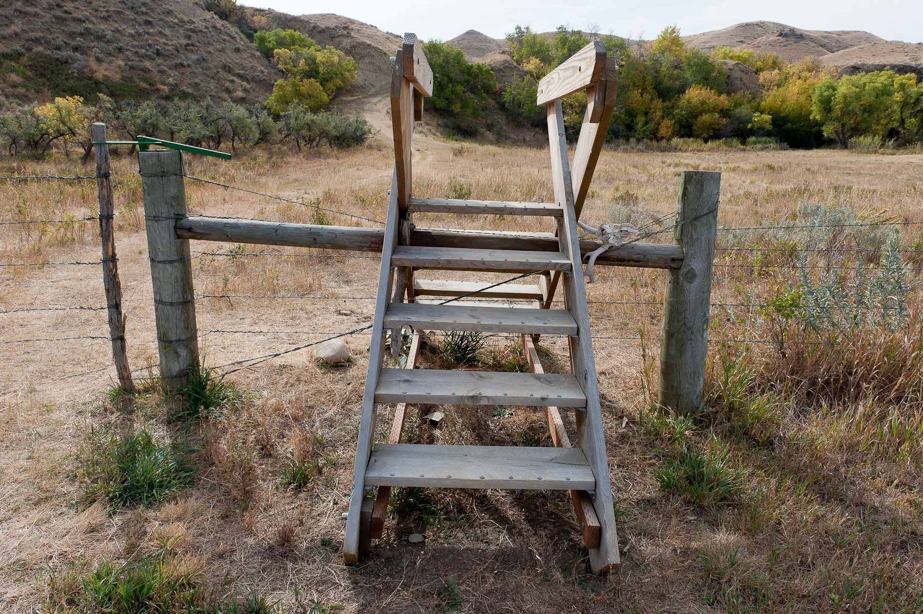 Step Ladder into Jentel's Thousand Acres
