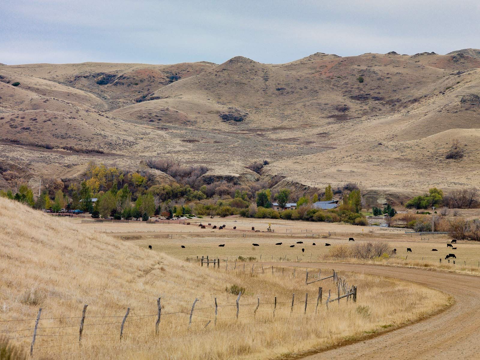 Jentel Artist Residency Program Wyoming