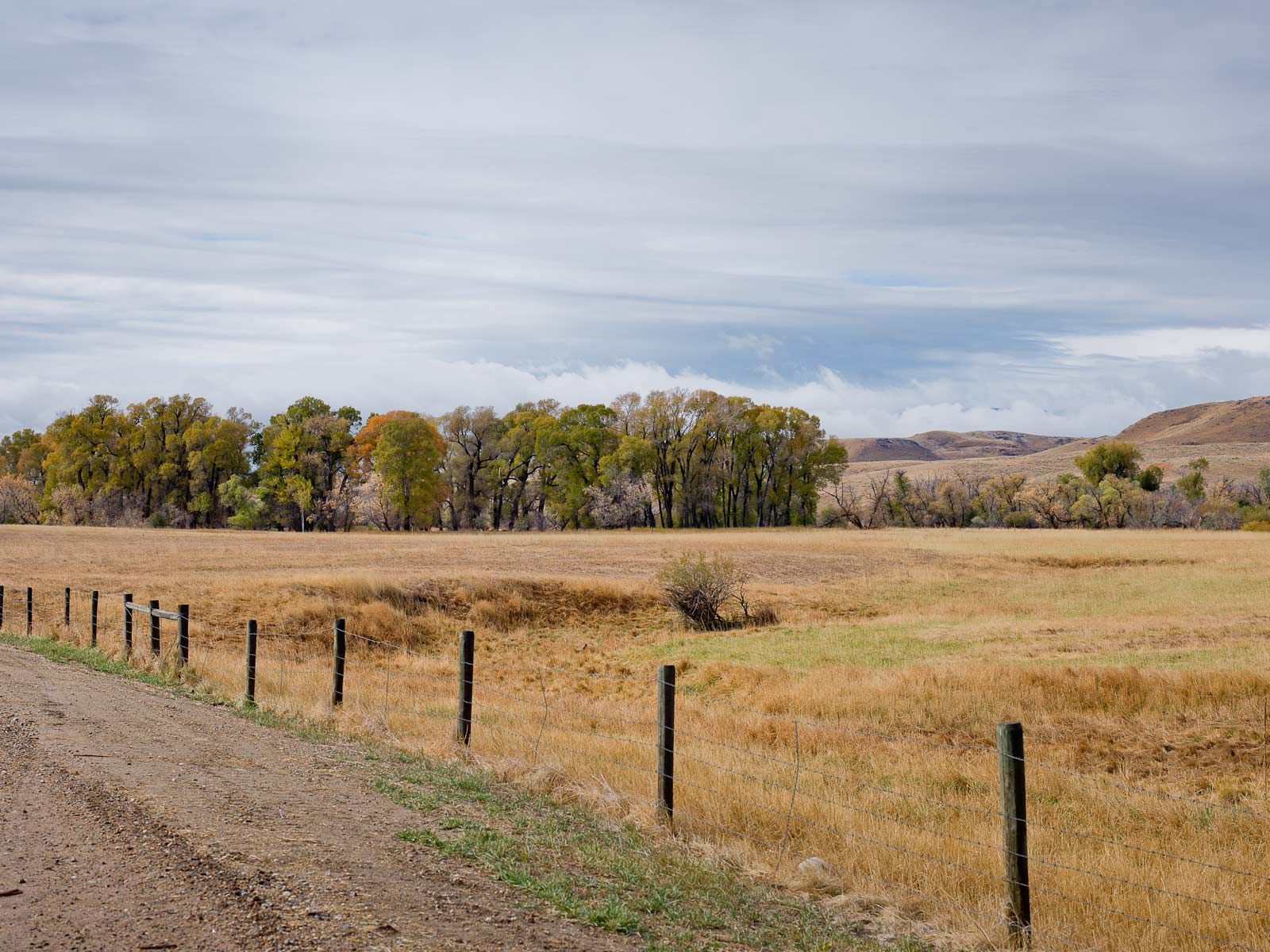 Dreamy Late Summer Scene near Sheridan, Wyoming