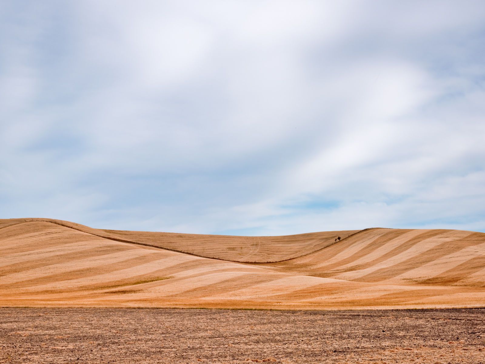 1r20091004_palouse_0030_edit_edit_3