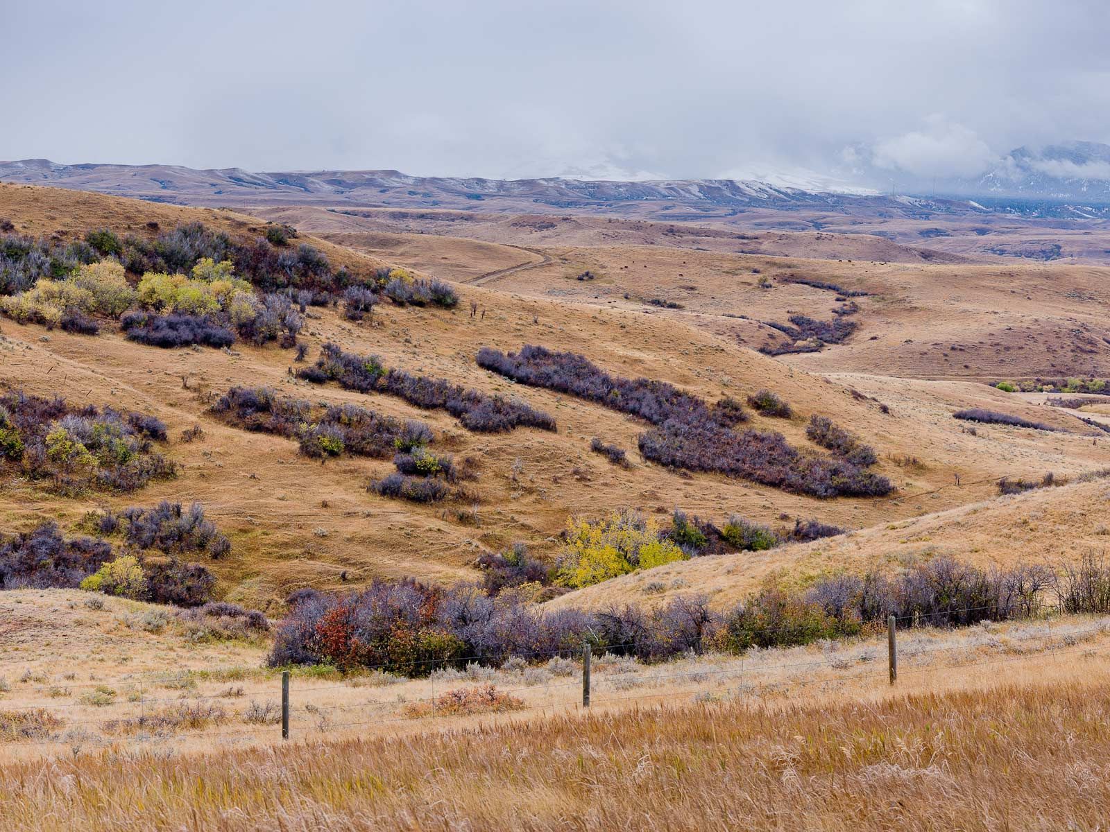 Chilly Autumn Scene Along Highway 14 Wyoming