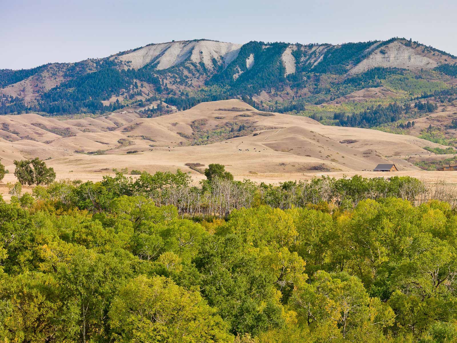 Near the Bradford Brinton Memorial Museum Wyoming; The Big Horn Mountains