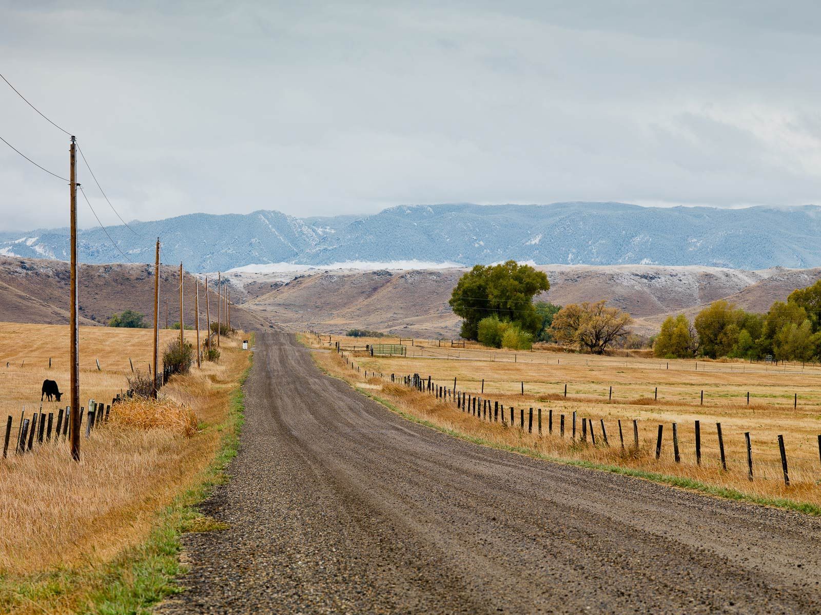 The Snowy Big Horn Mountains