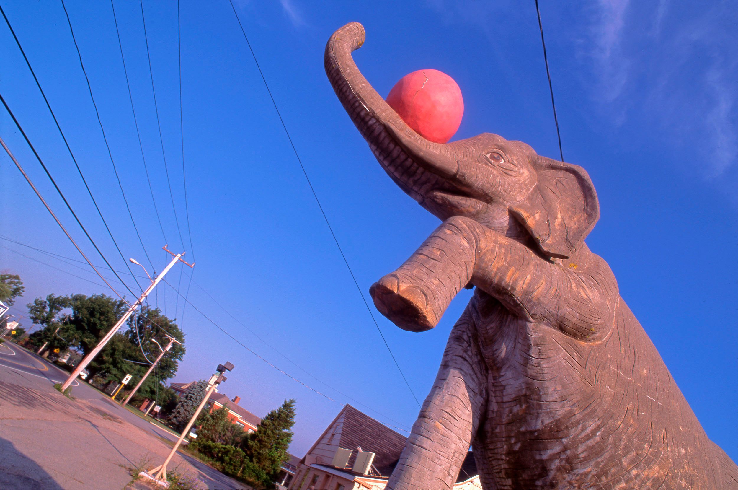 1980-2000 Color Photographs