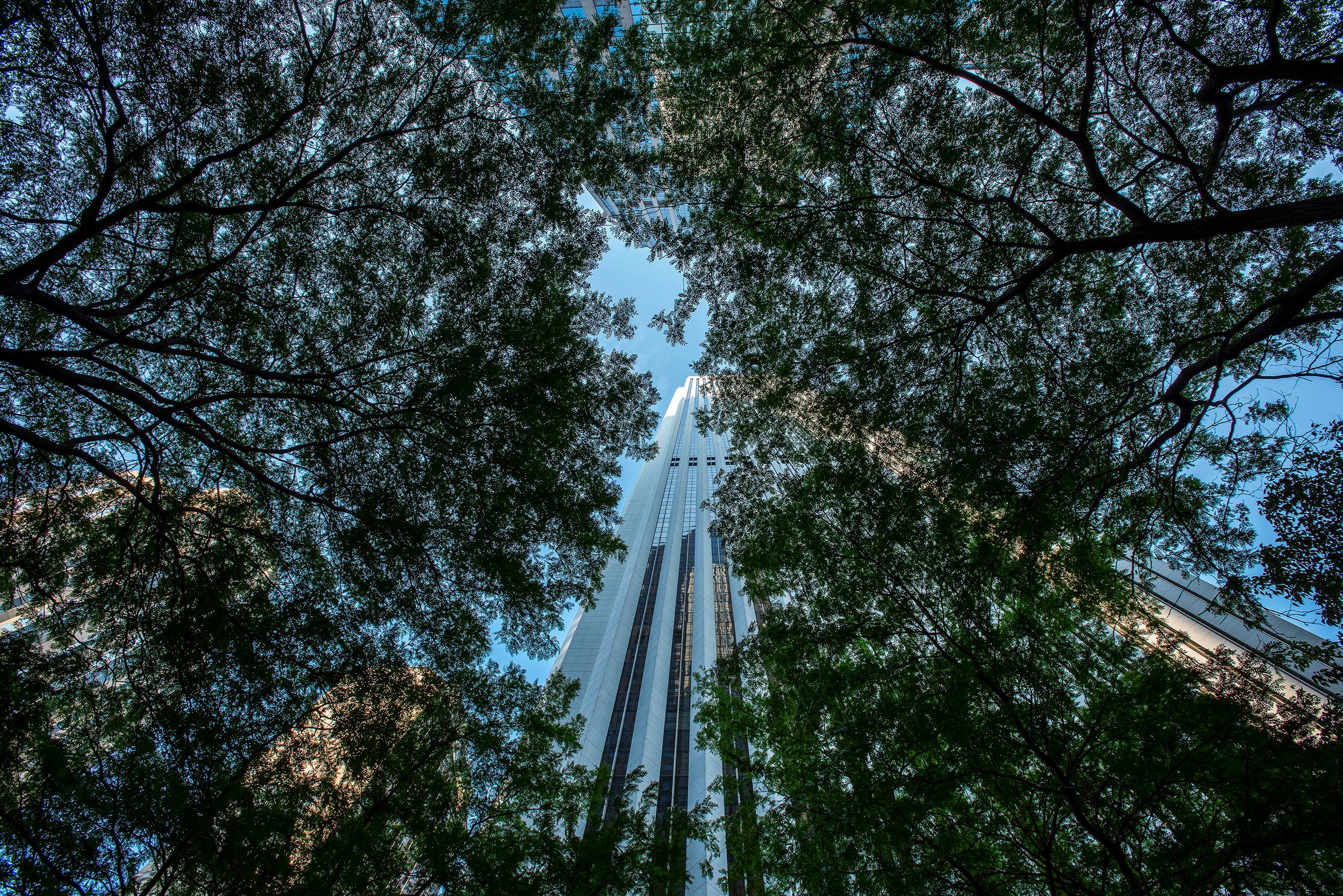 Award winning and published documentary photographer Steven Edson is a creative documentary photographer working for clients in Boston and around the world. Chicago Editorial Photography