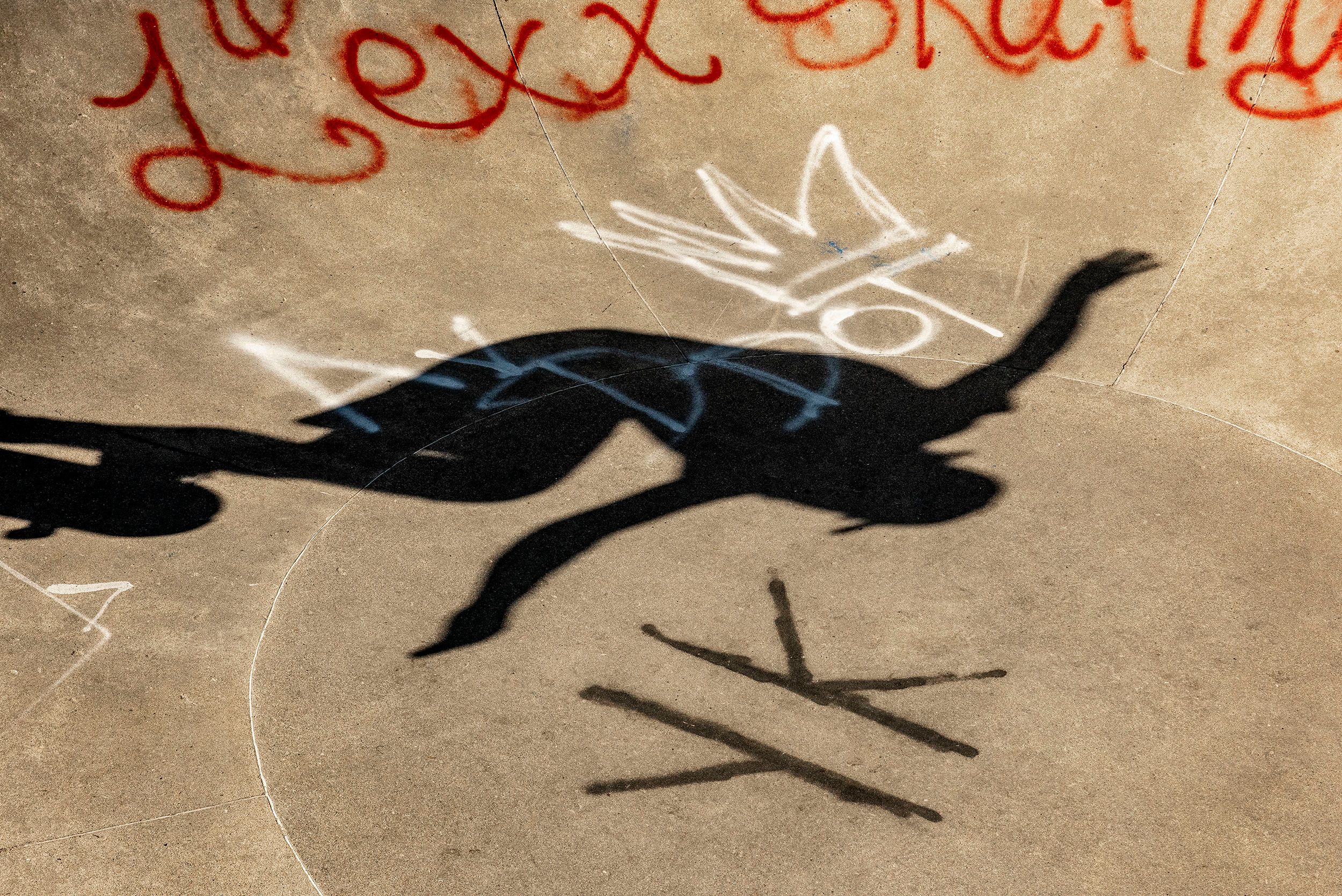 Horizontal color photograph of a skateboarders shadow surrounded by graffiti in the bowl at the Lynch Family Skateboard Park, Cambridge, MA Shadows Always Follow Us