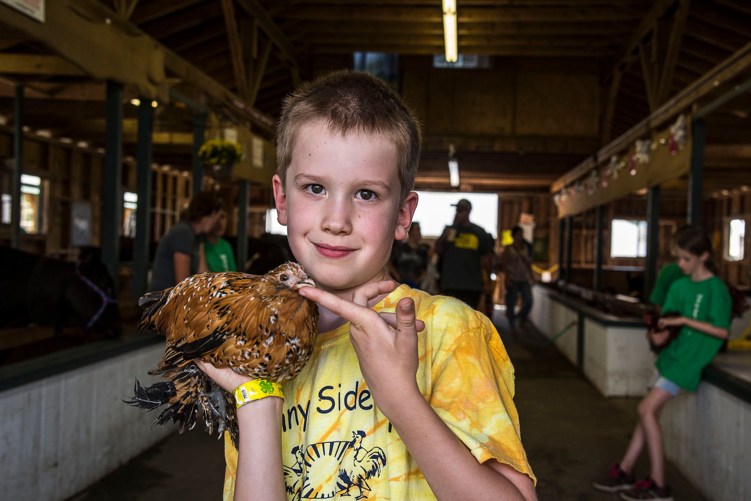 Marshfield County Fair