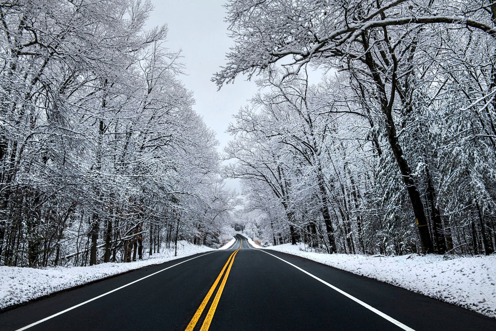 Road into Winter