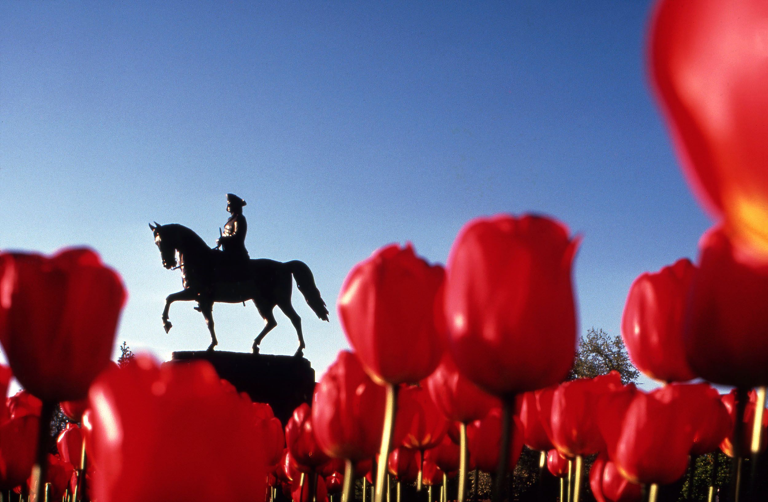 George Washington in the Public Gardens