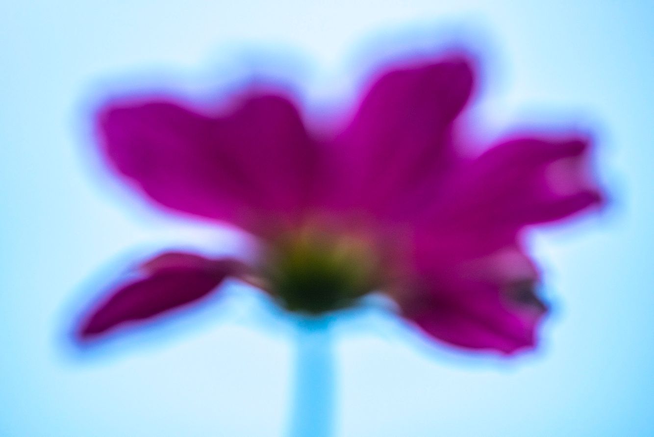 Observations in Nature